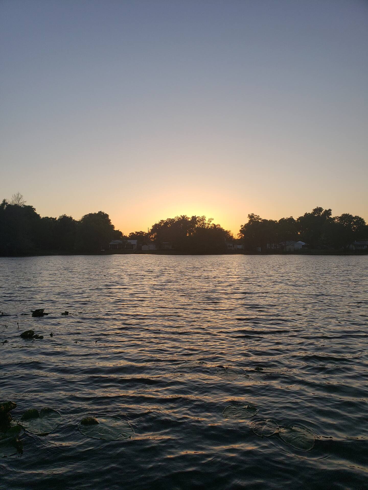 Photo 83