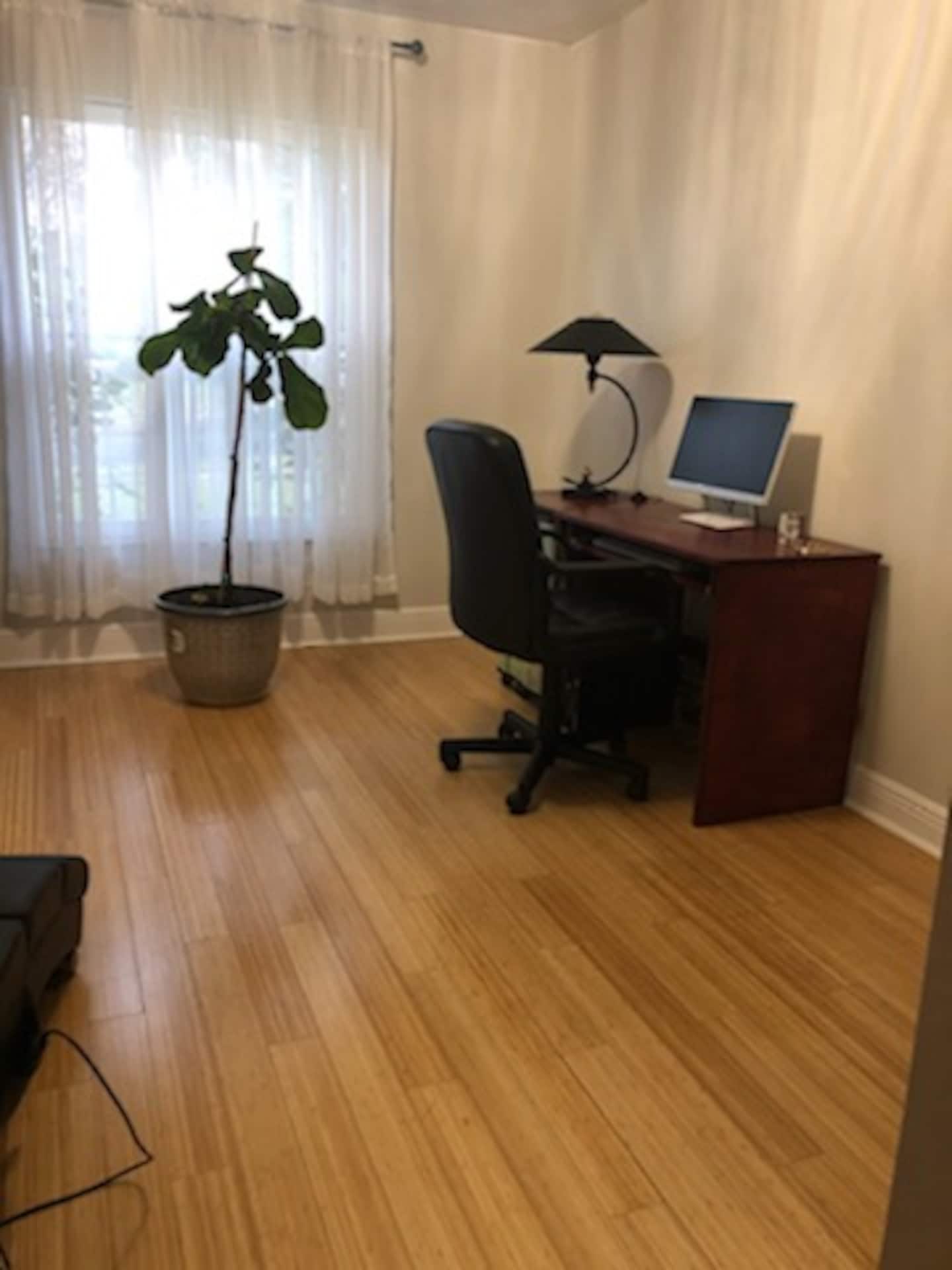 Photo 17