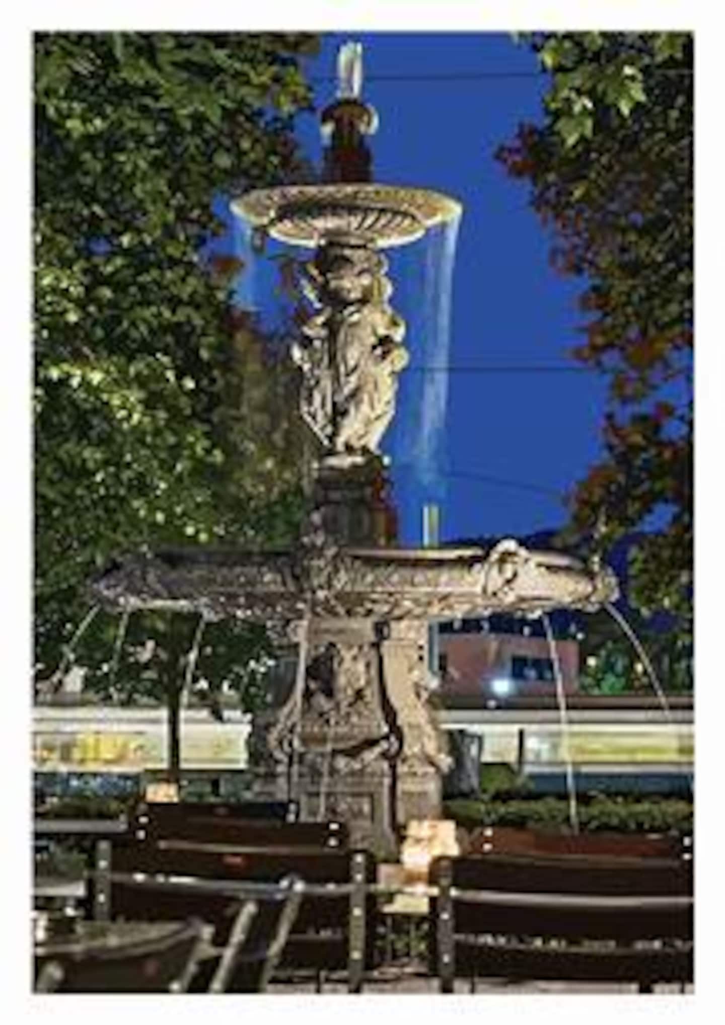 Photo 27