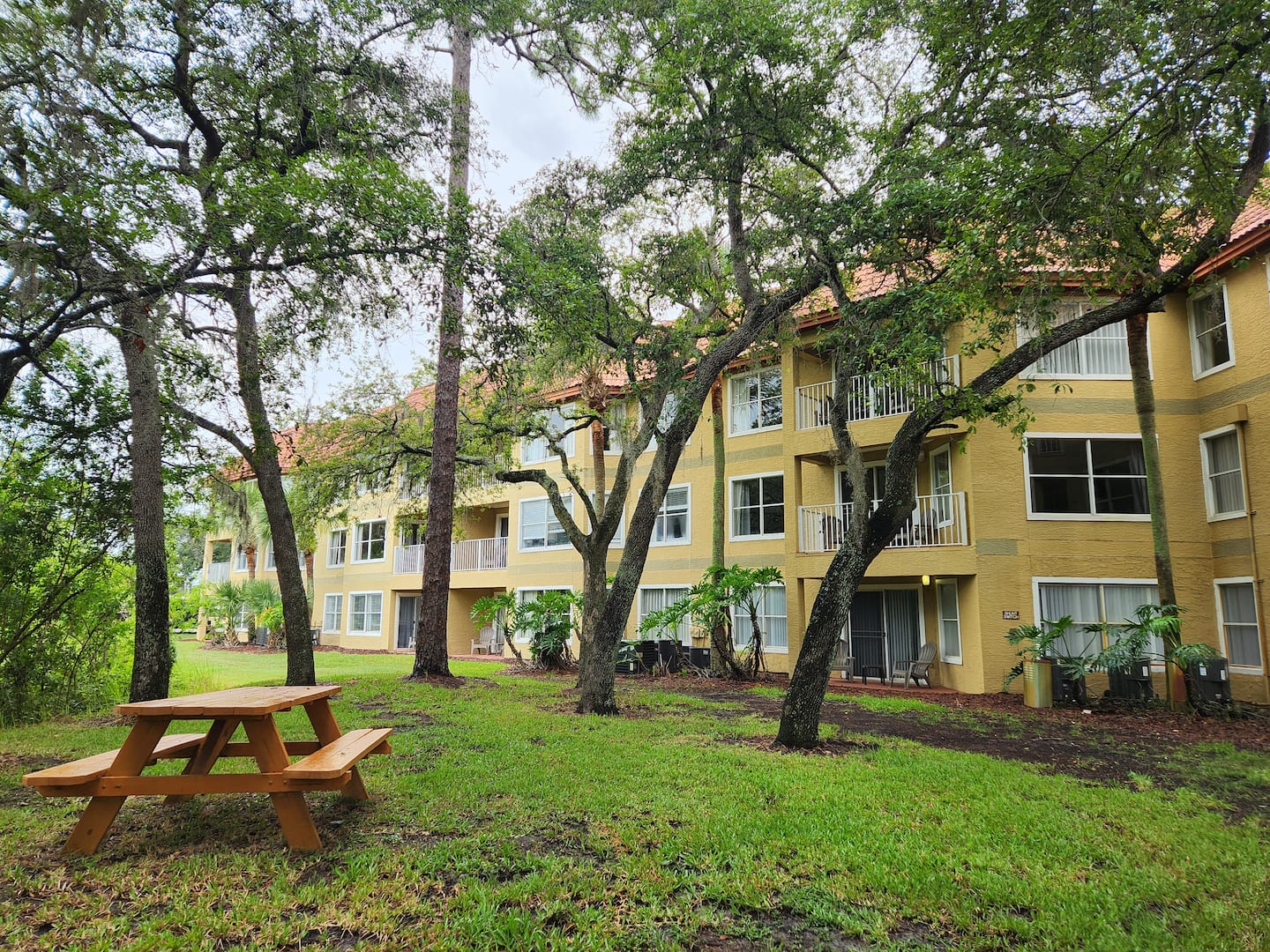 Main Photo
