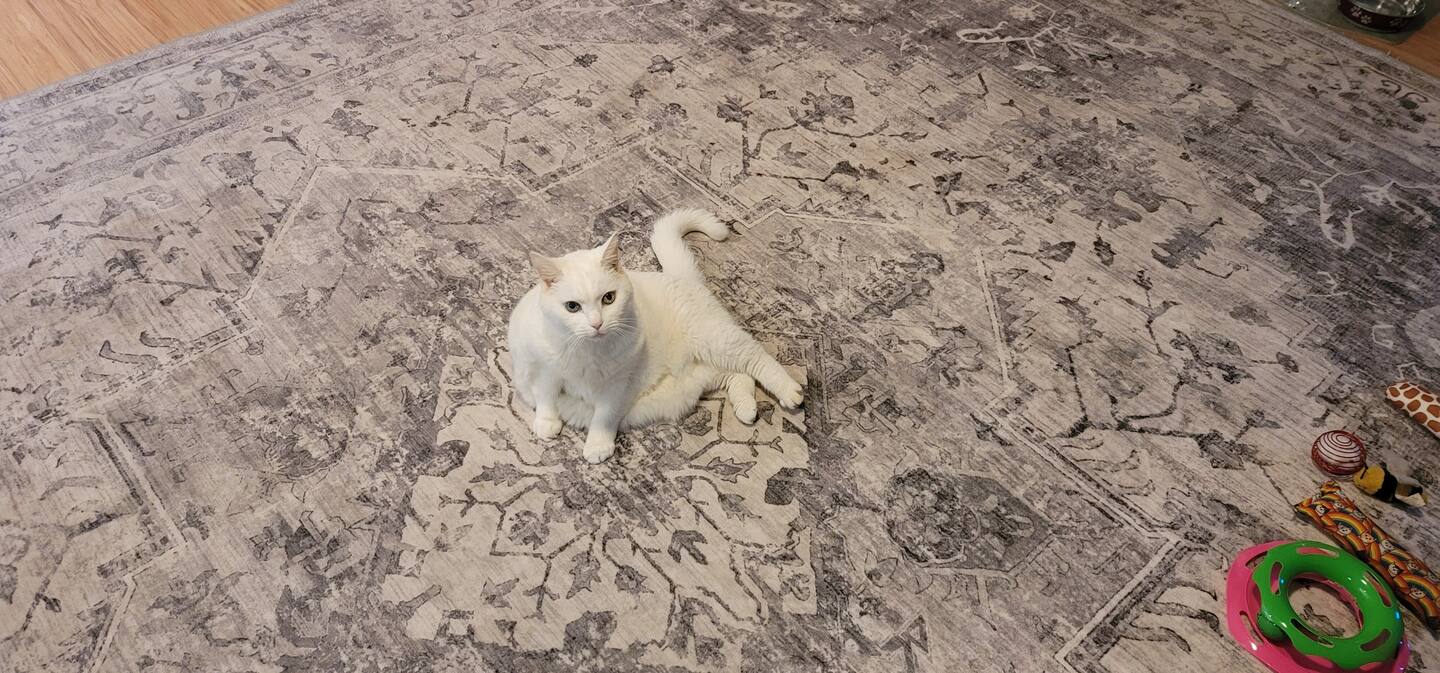 Photo 40