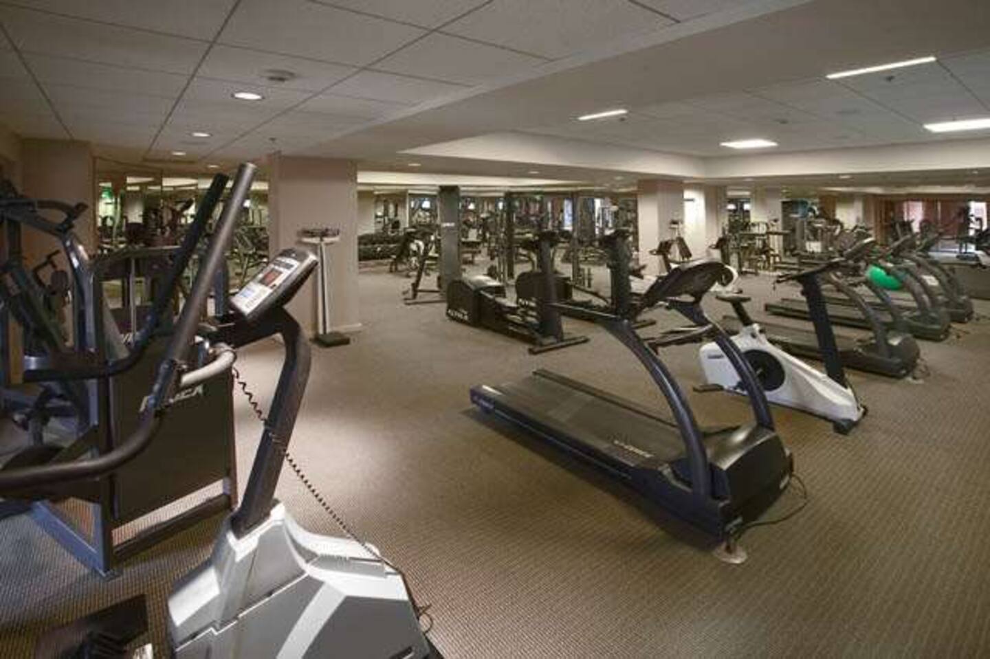 Photo 182