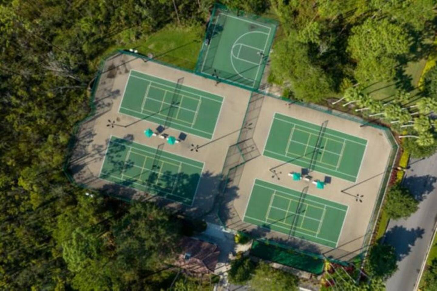 Photo 45