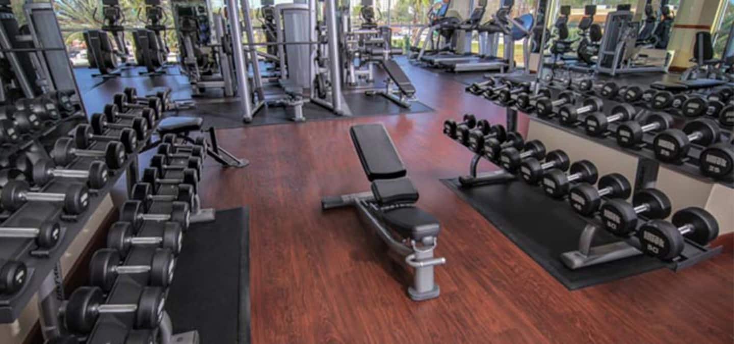 Photo 22