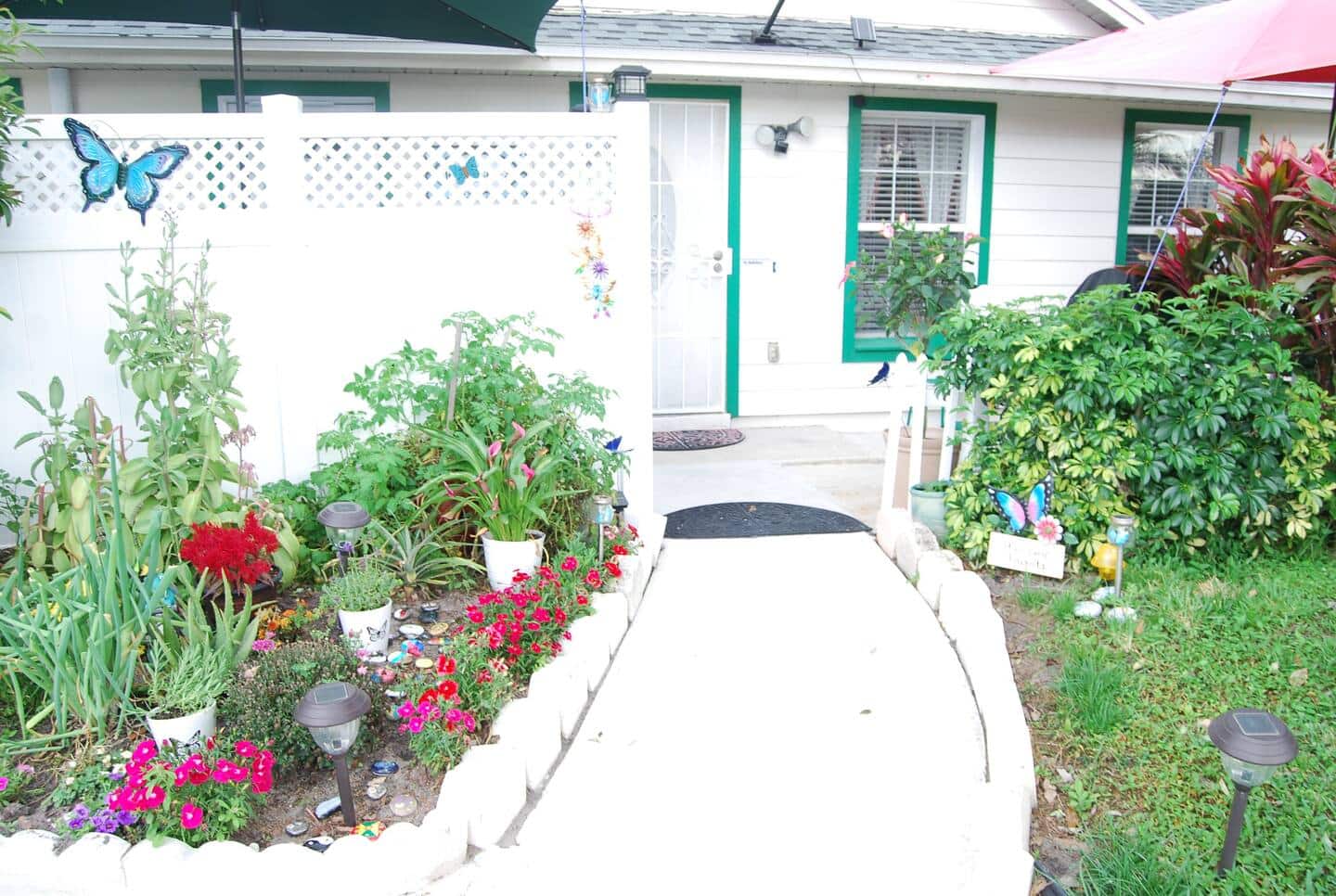 Photo 8