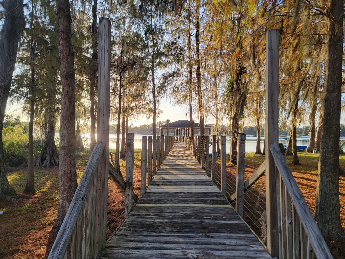 Photo 82