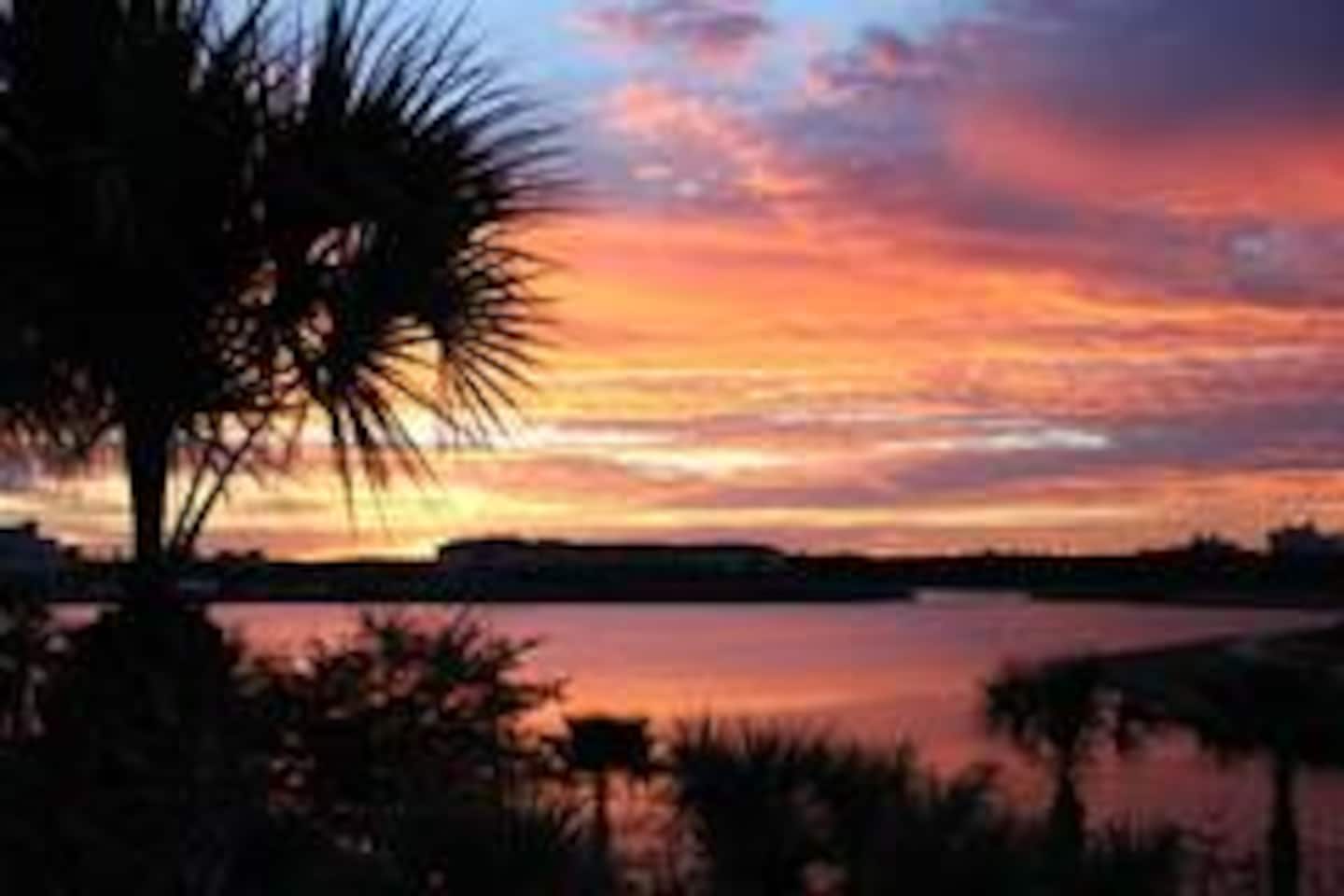 Photo 56