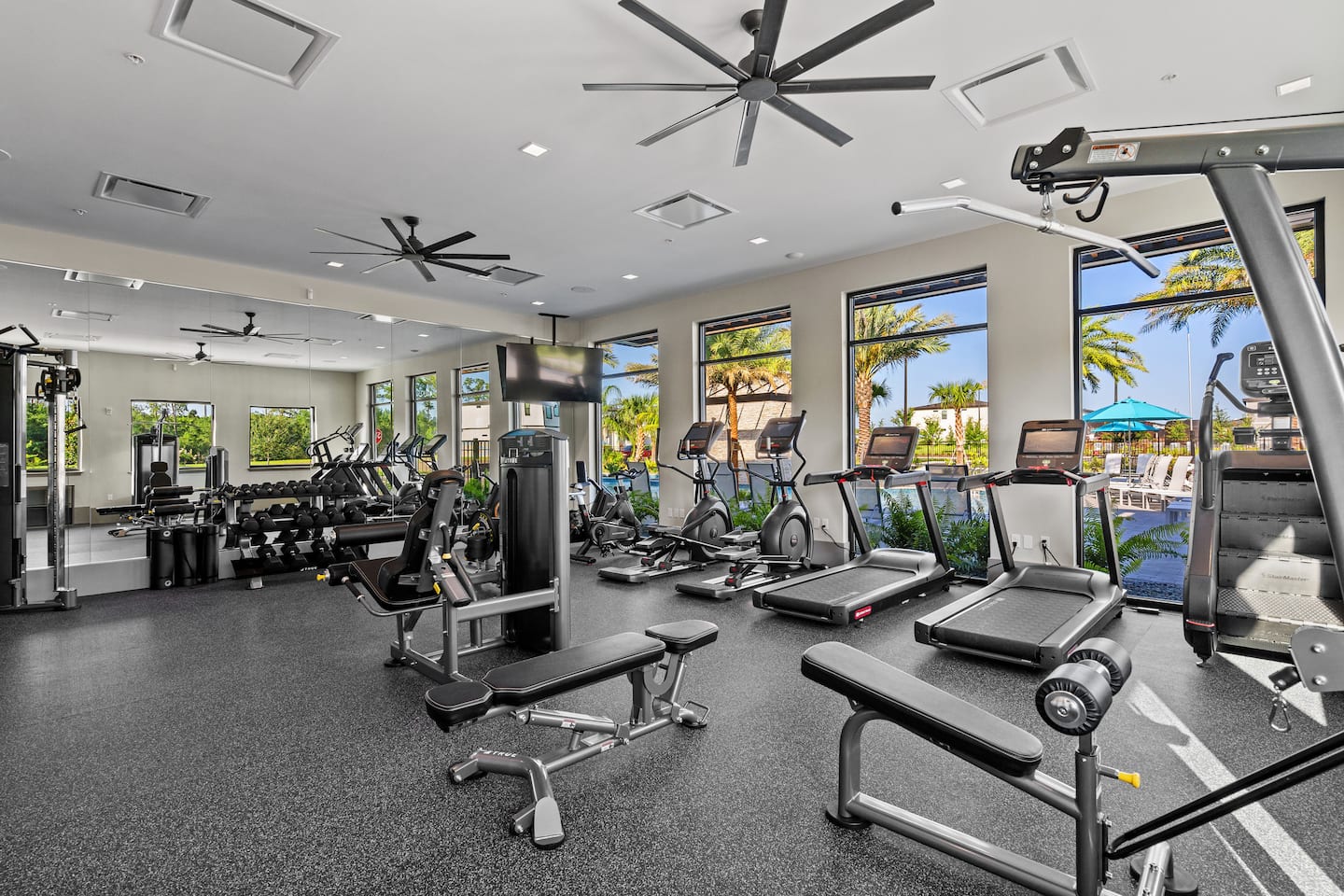 Photo 83