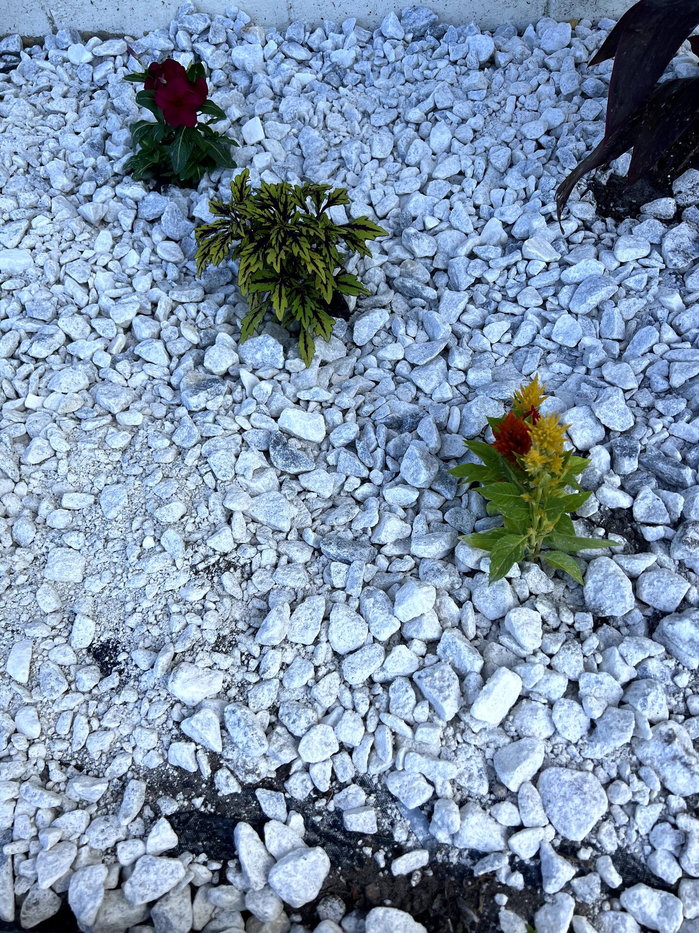 Photo 45