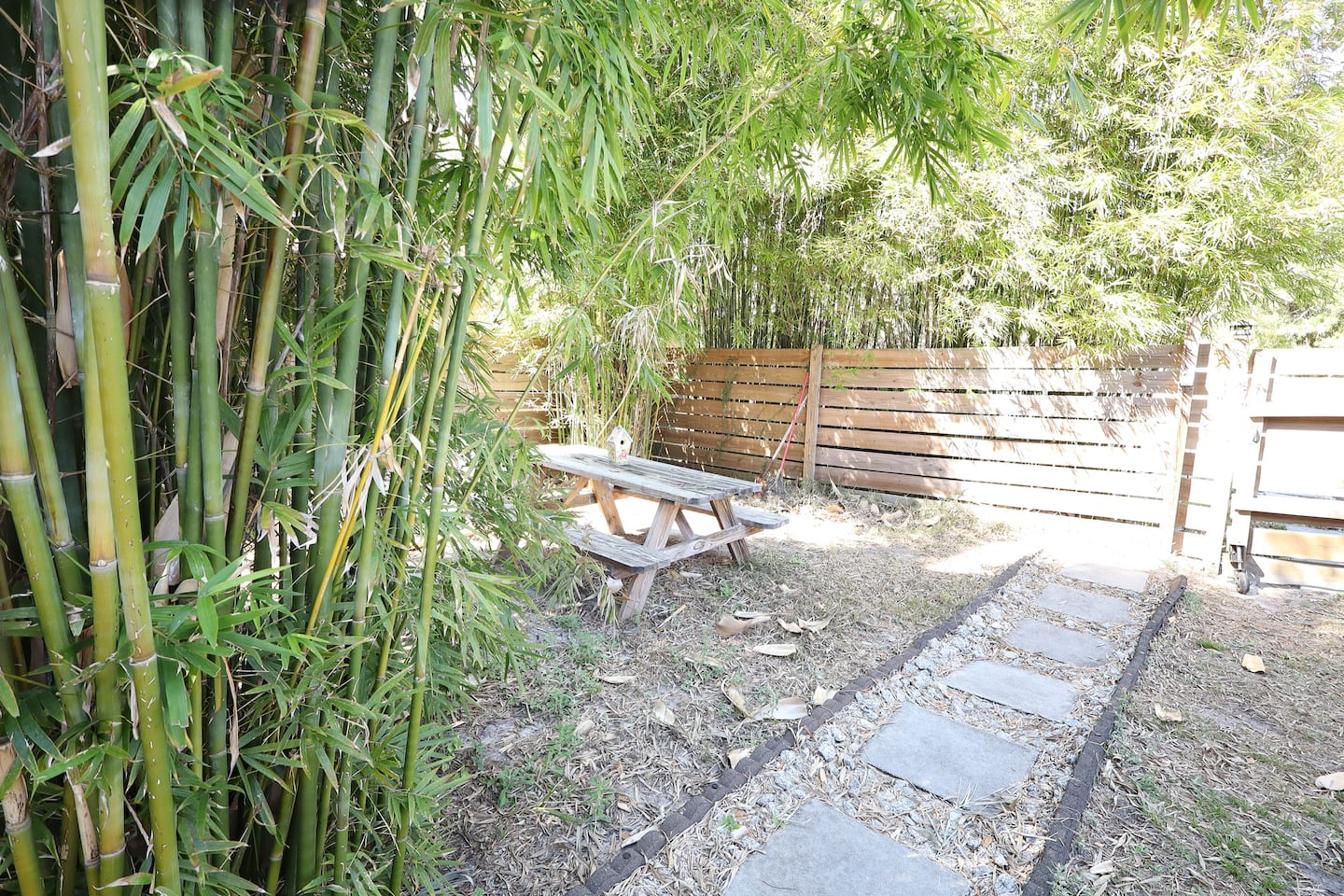 Photo 23