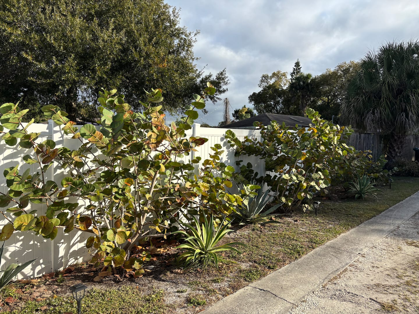 Photo 43