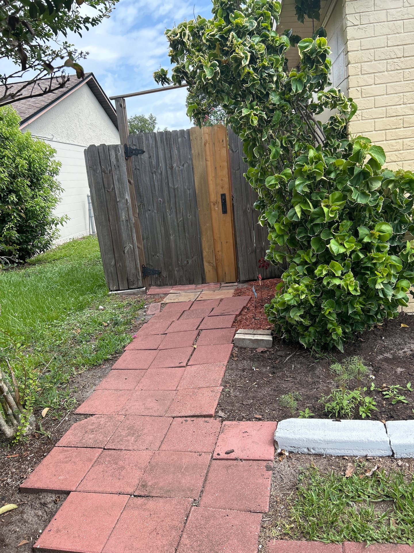 Photo 26