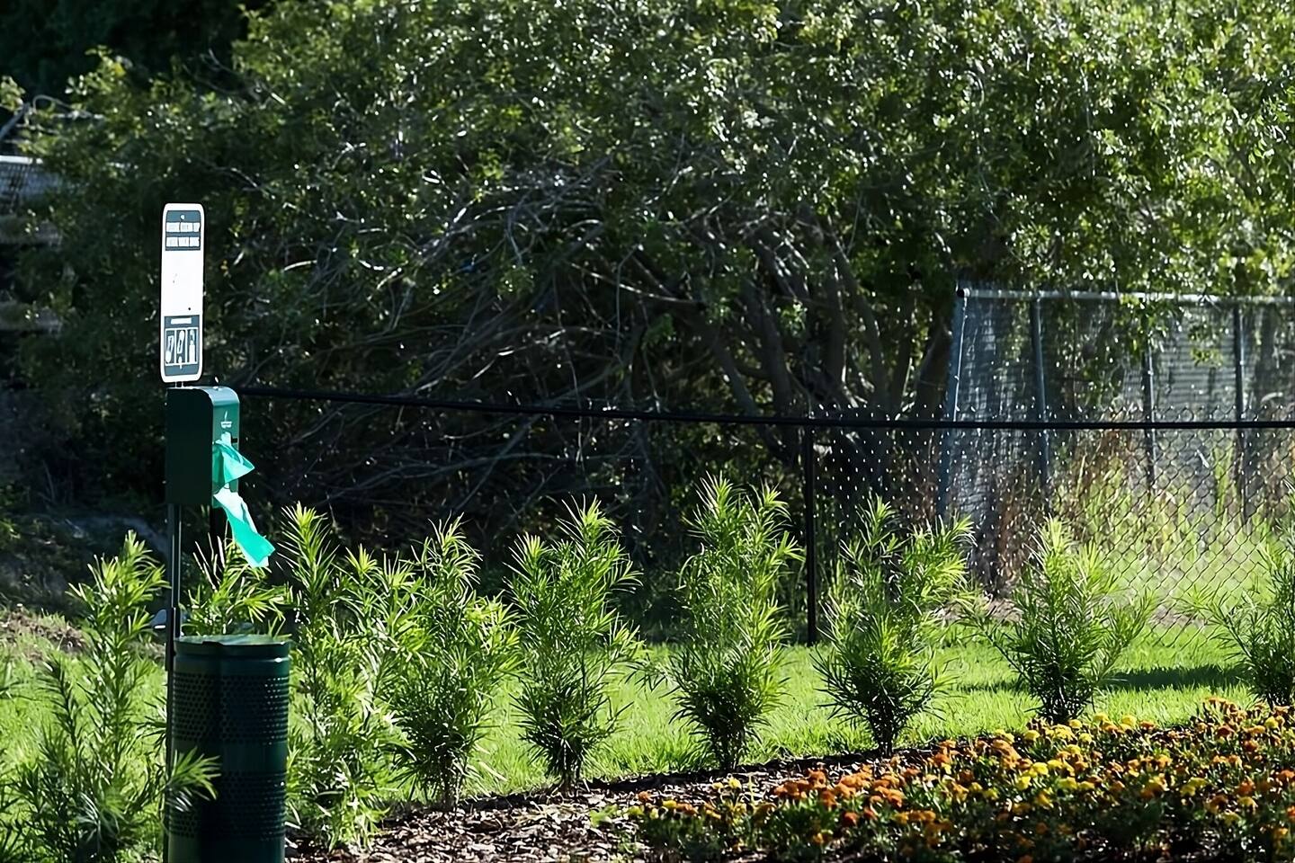 Photo 24