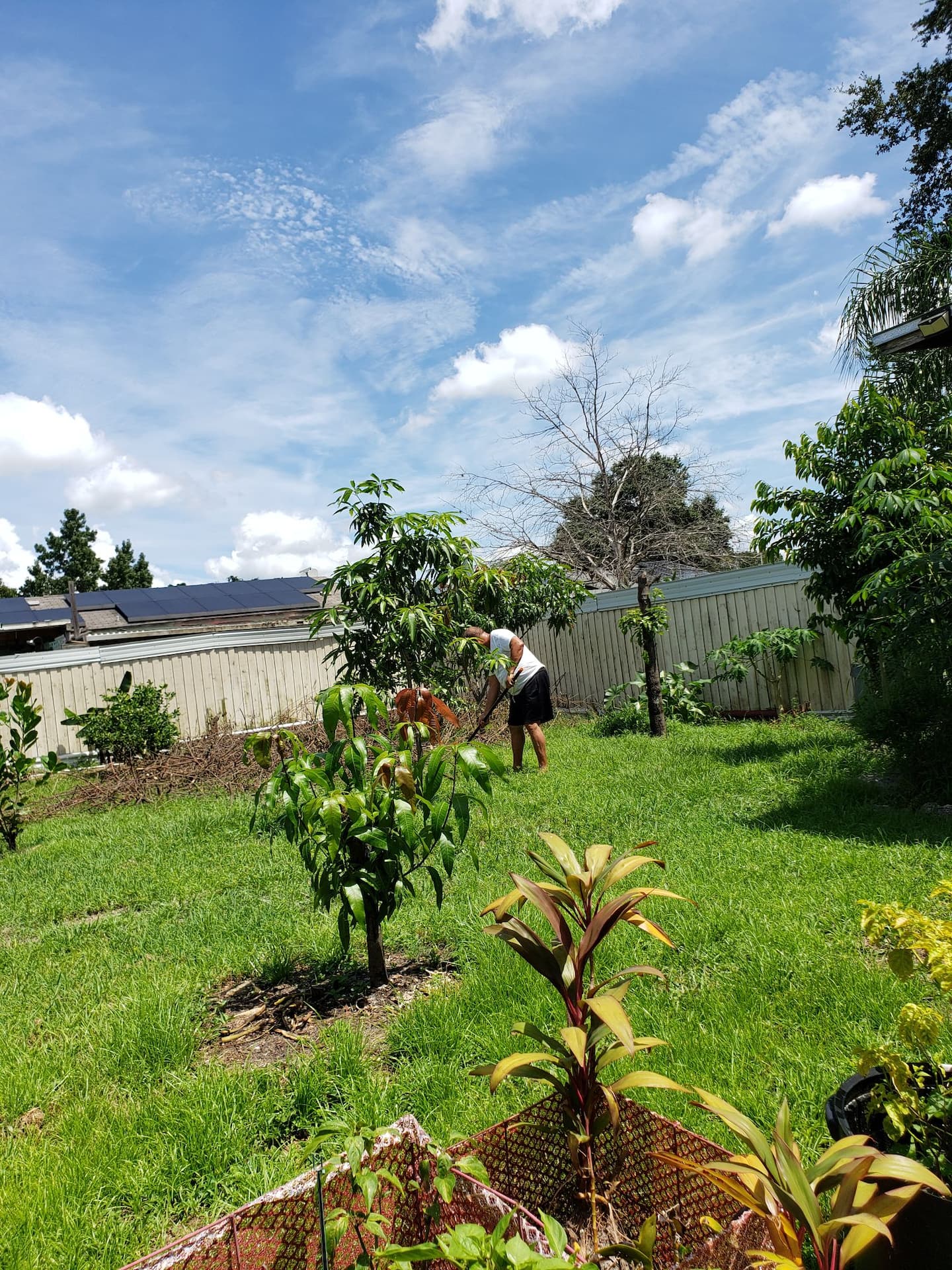 Photo 28