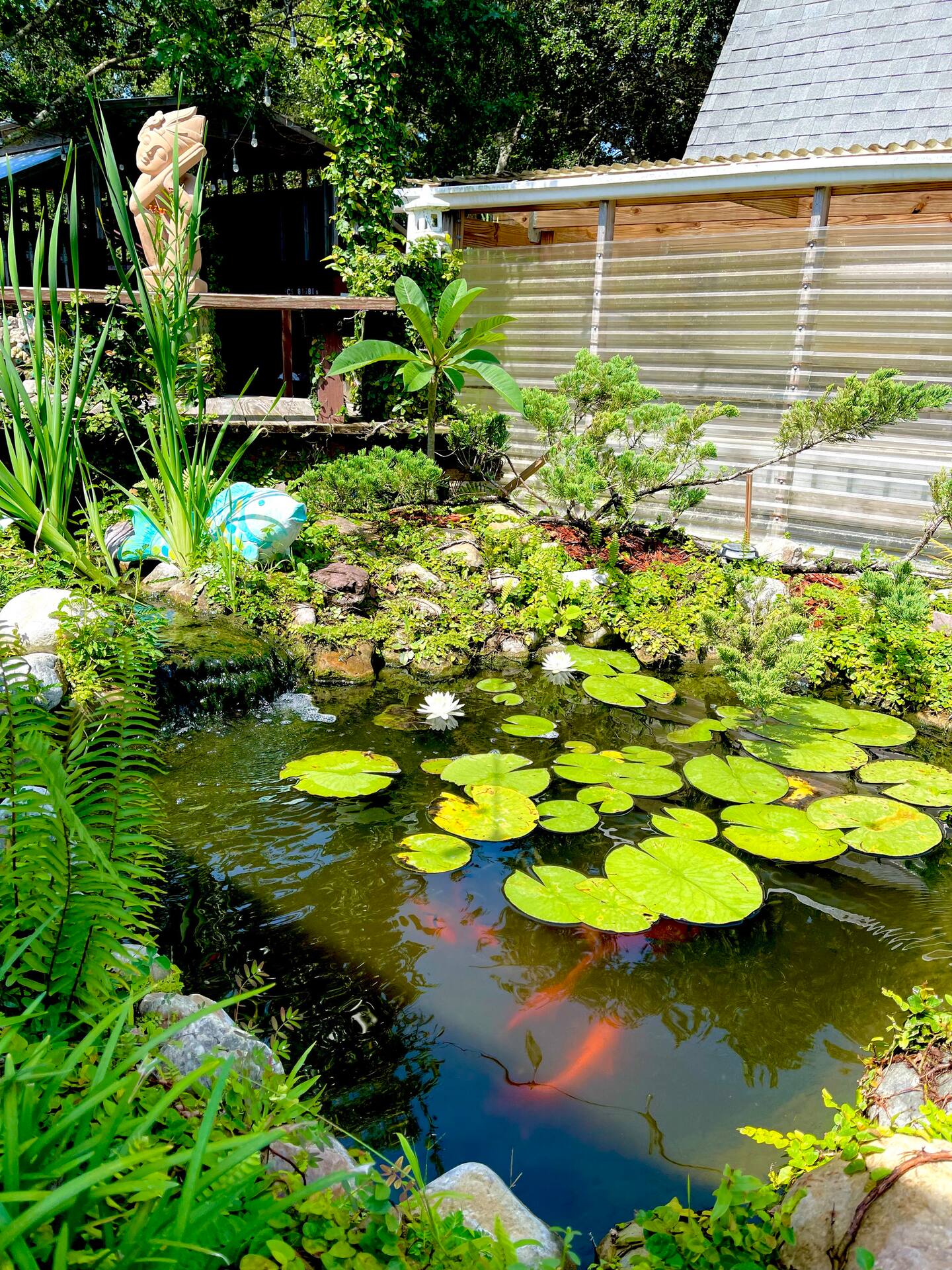 Photo 41