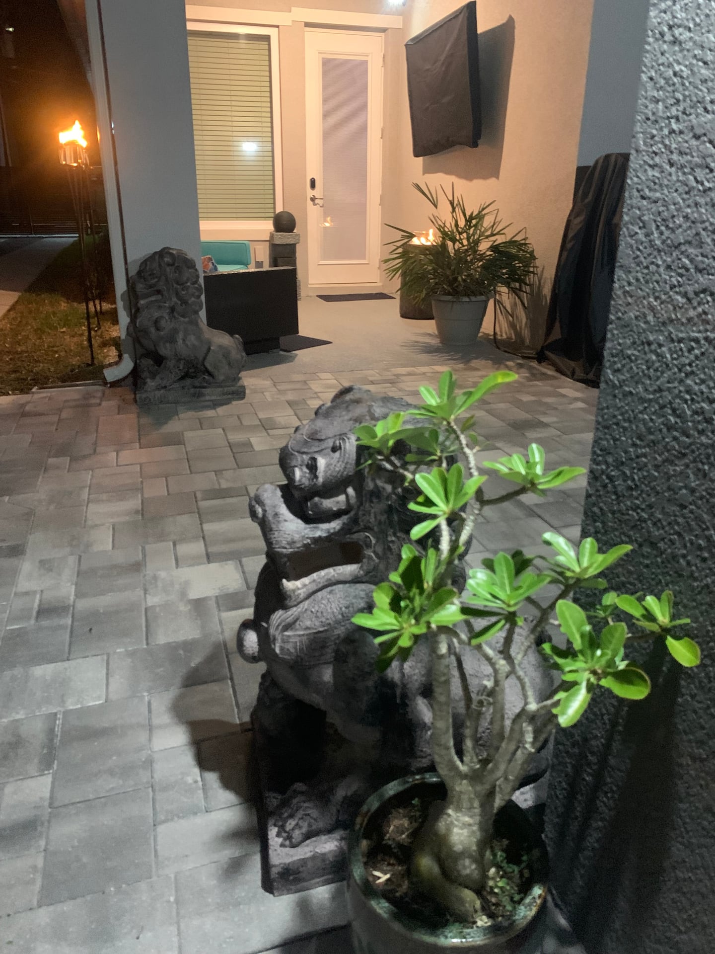 Photo 25