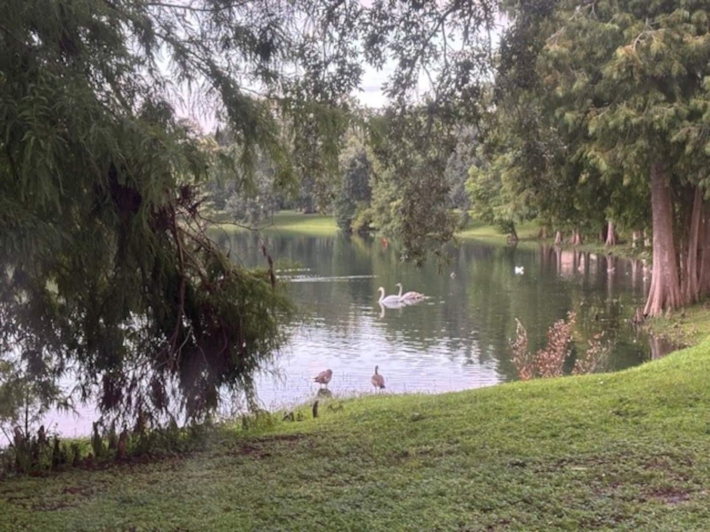 Photo 31