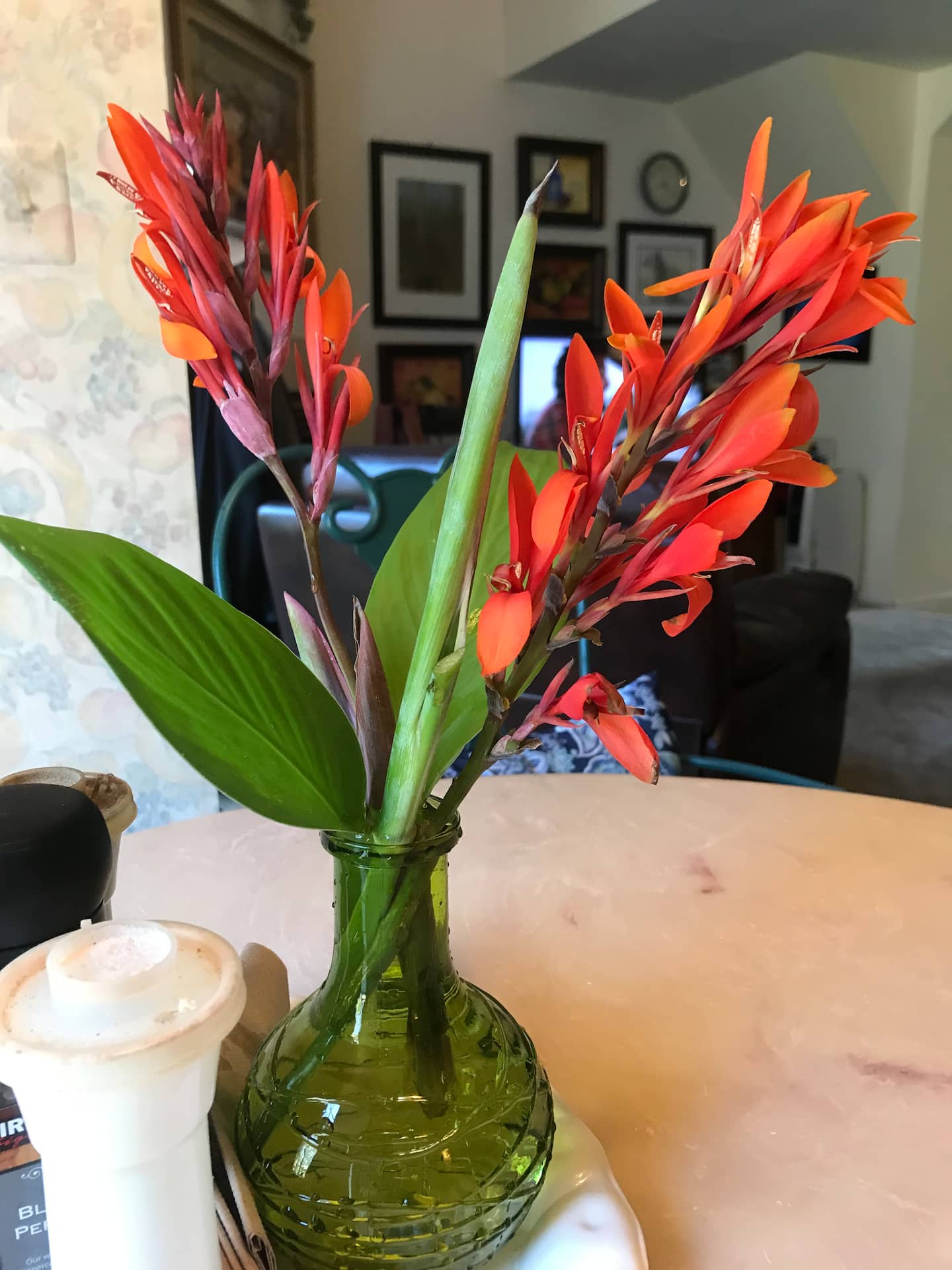 Photo 17
