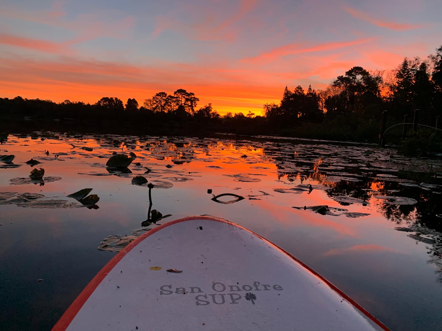 Photo 64