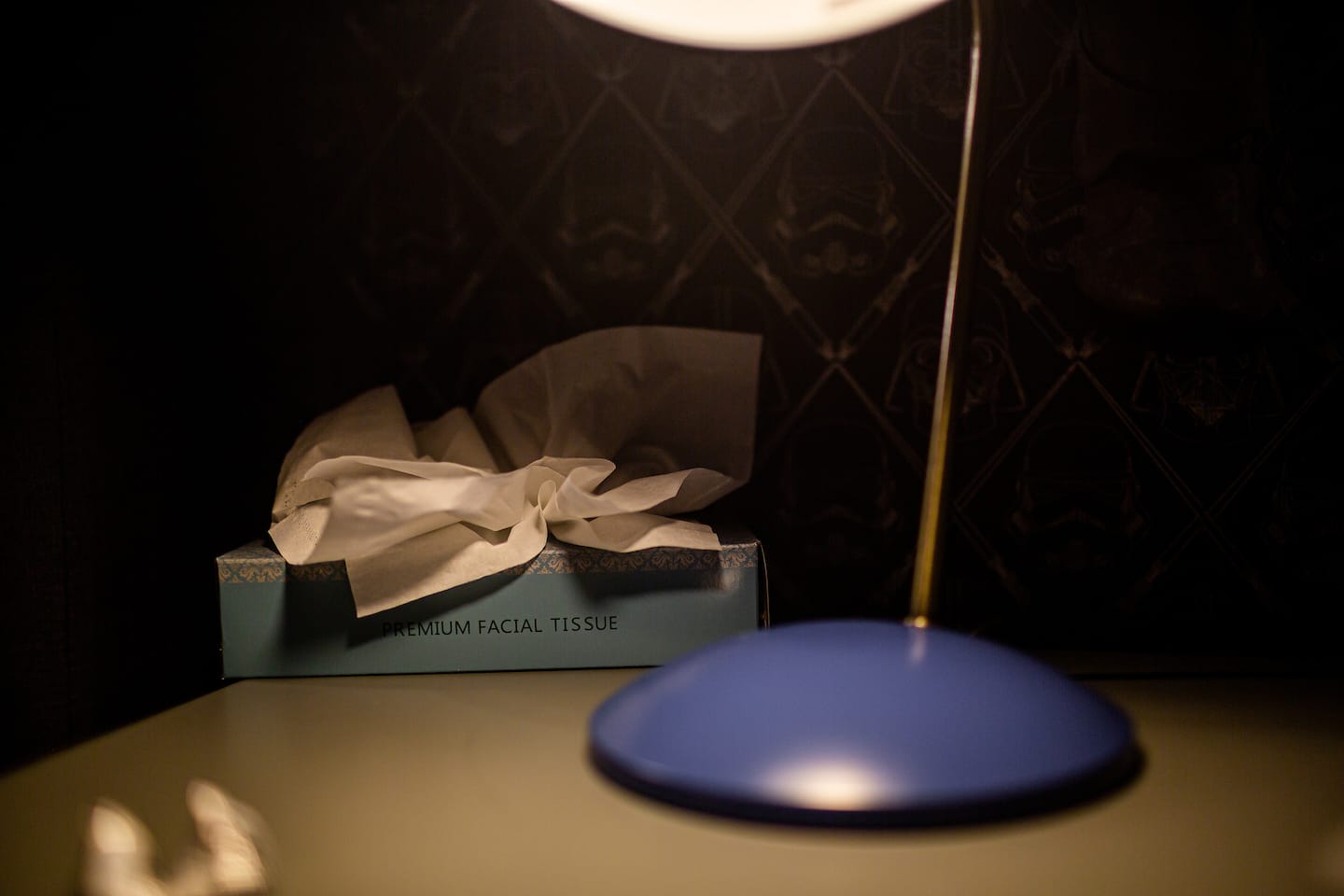 Photo 44