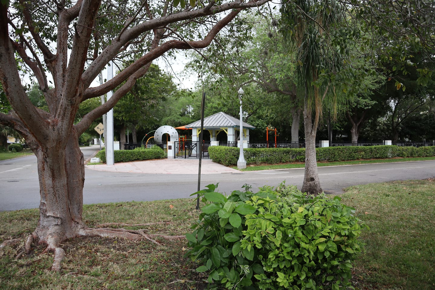 Photo 40