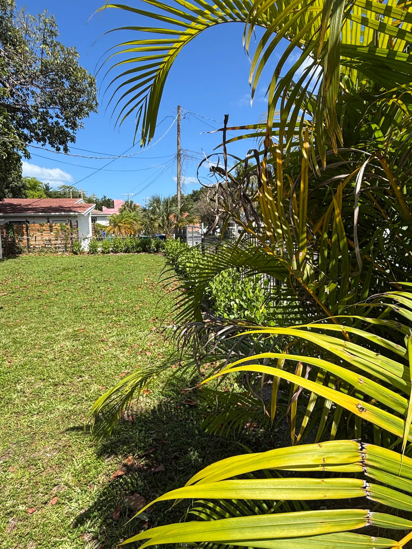 Photo 38