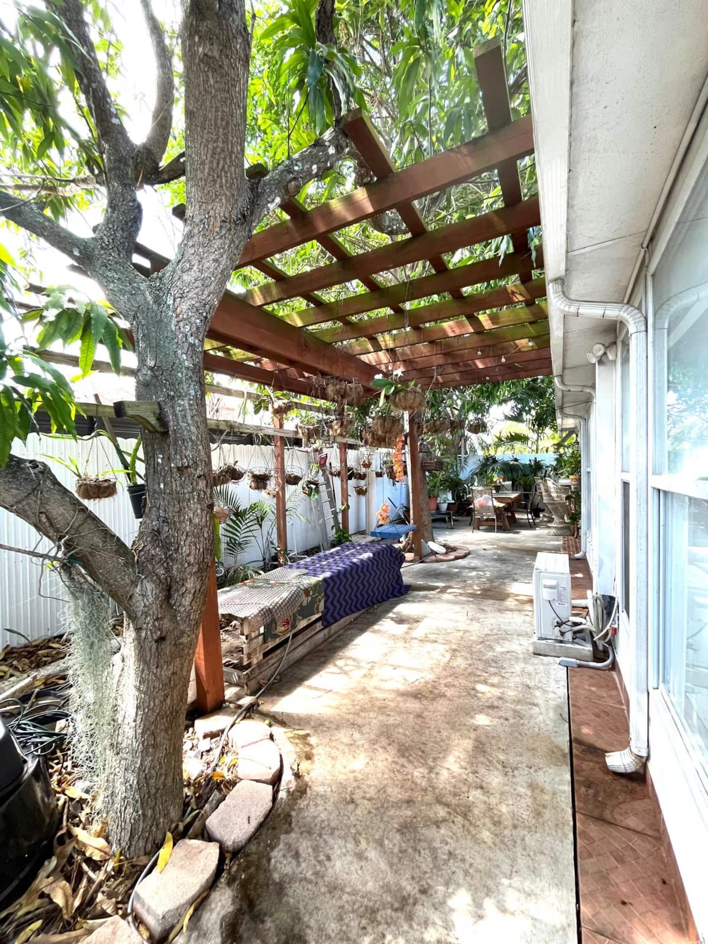Photo 46