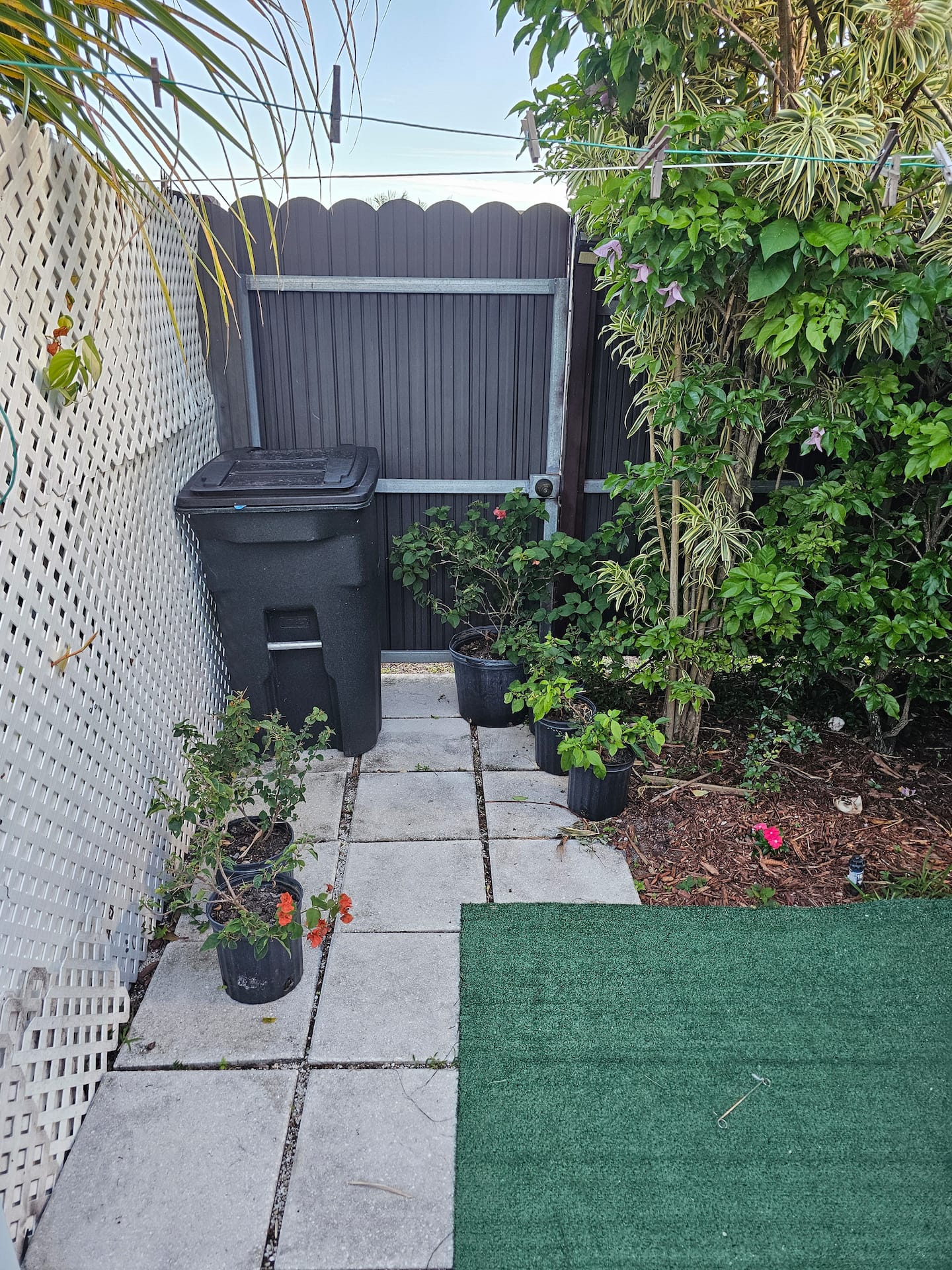 Photo 28