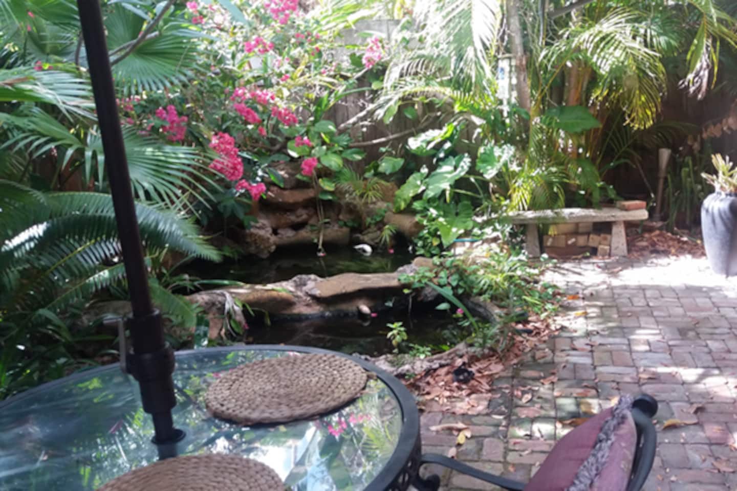 Photo 25