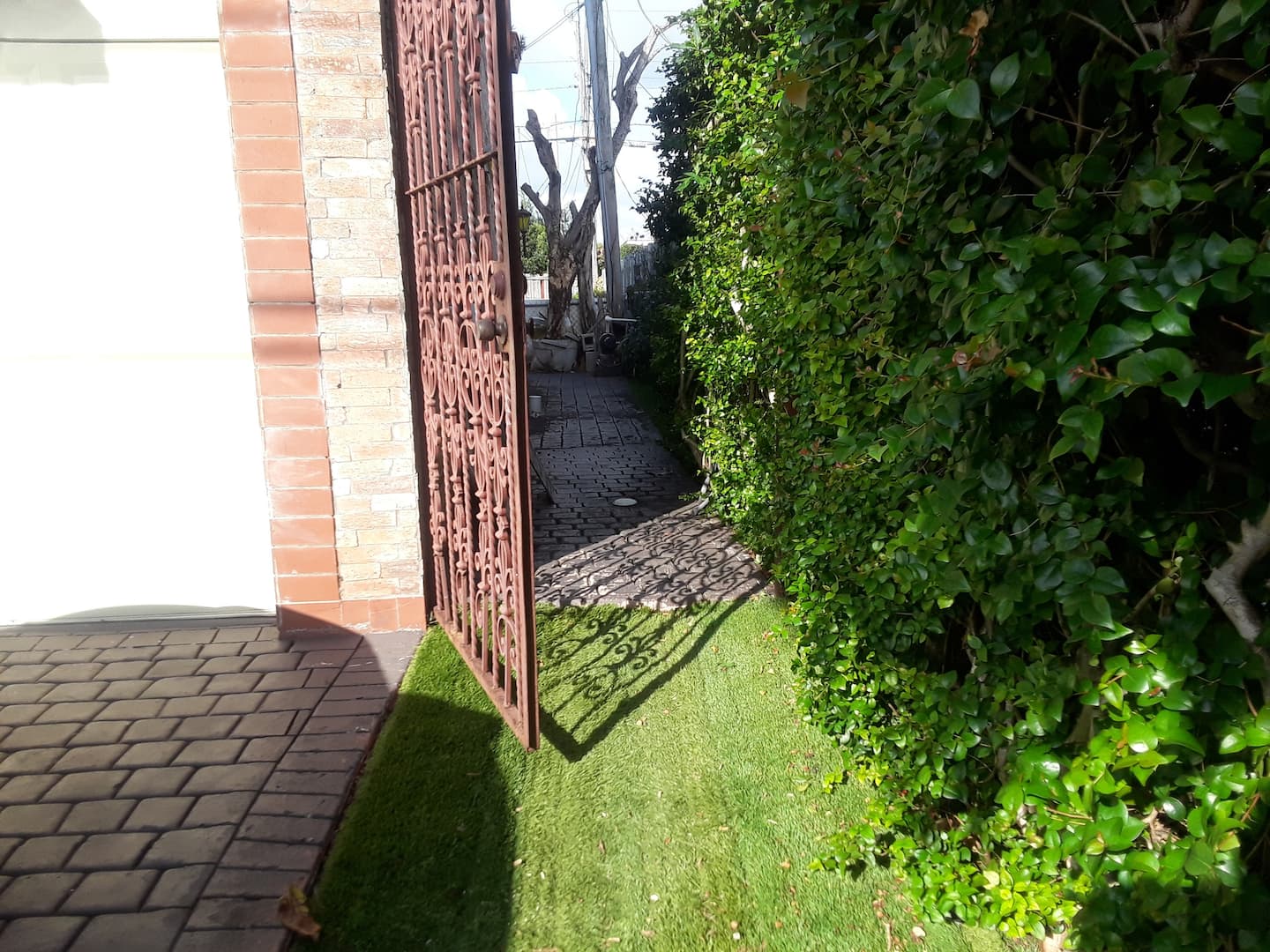 Photo 40