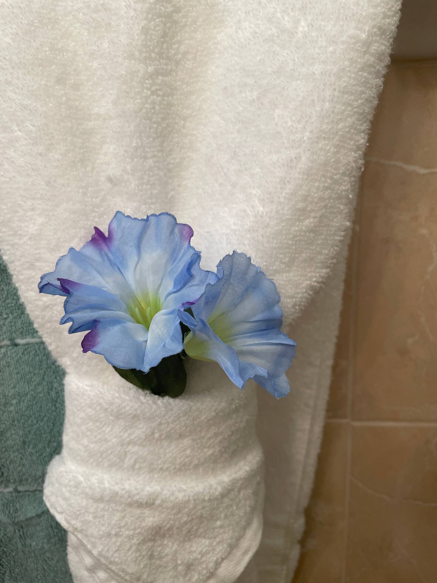 Photo 29