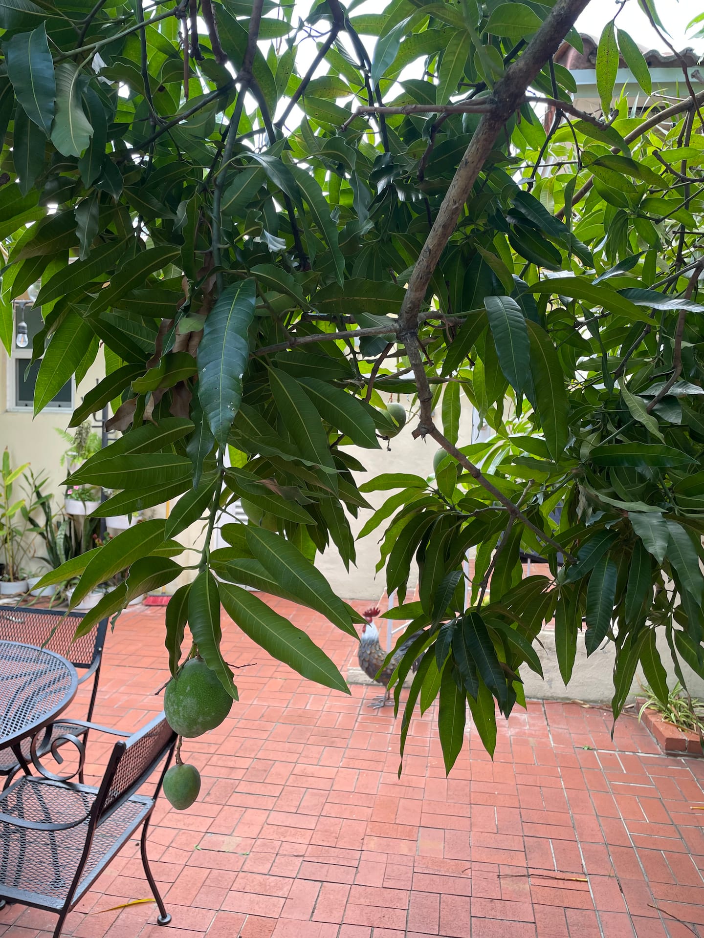 Photo 46