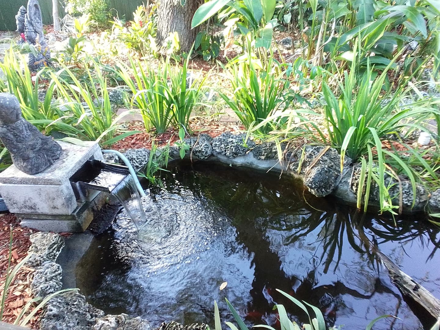 Photo 21