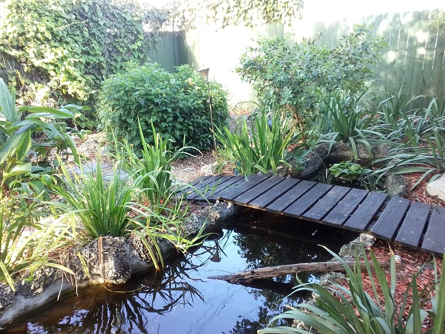 Photo 22