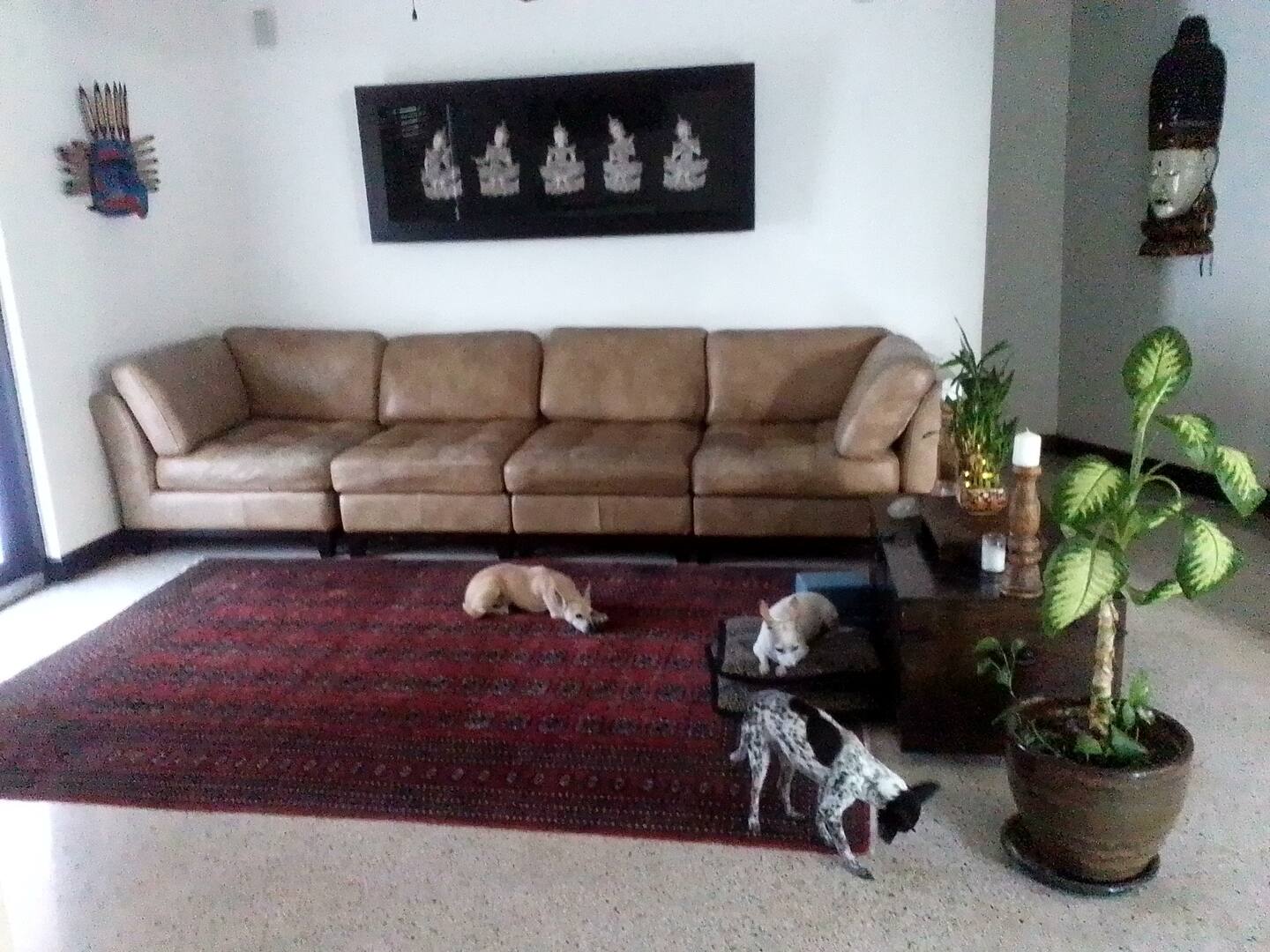 Photo 33
