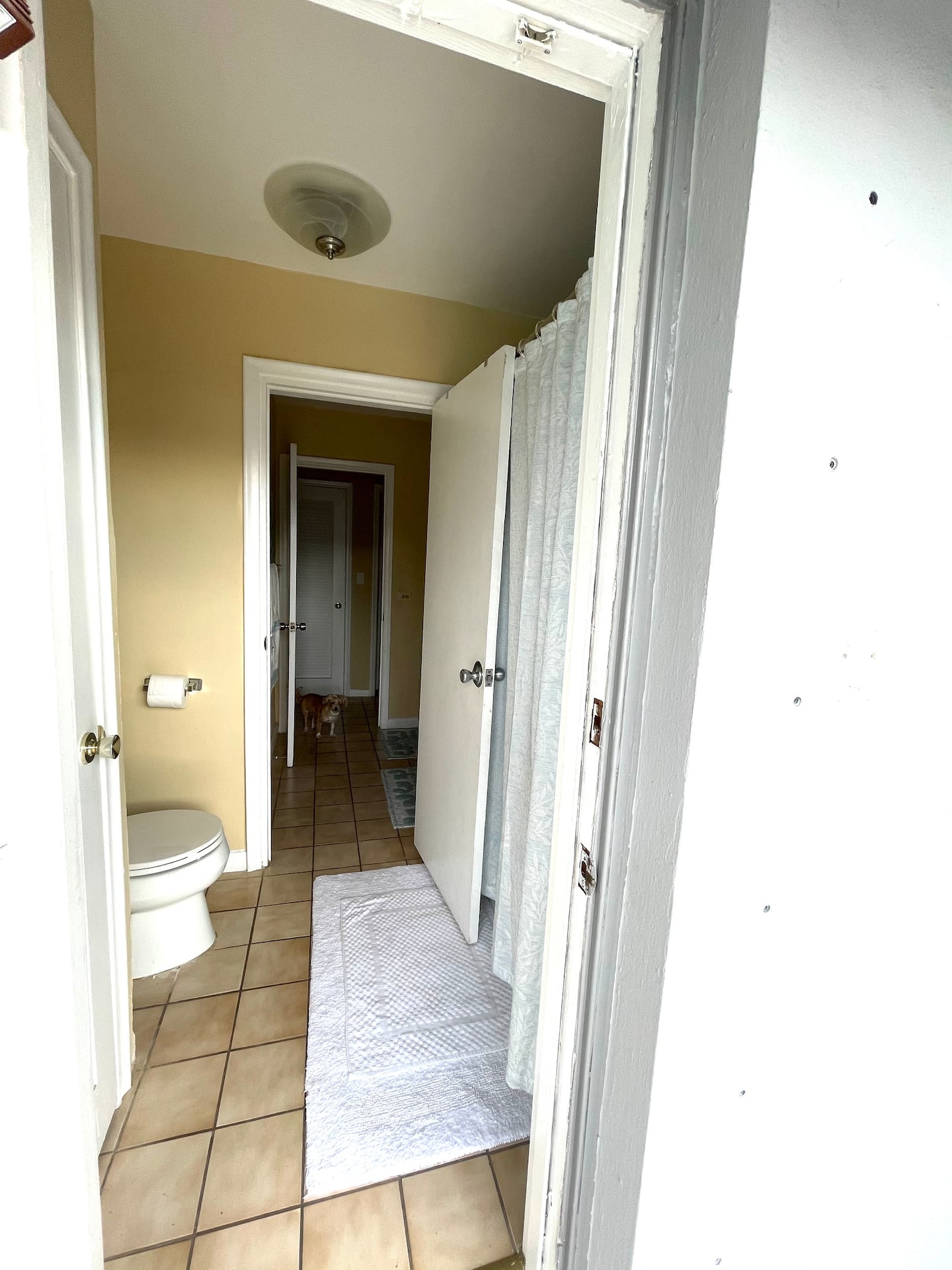 Photo 32