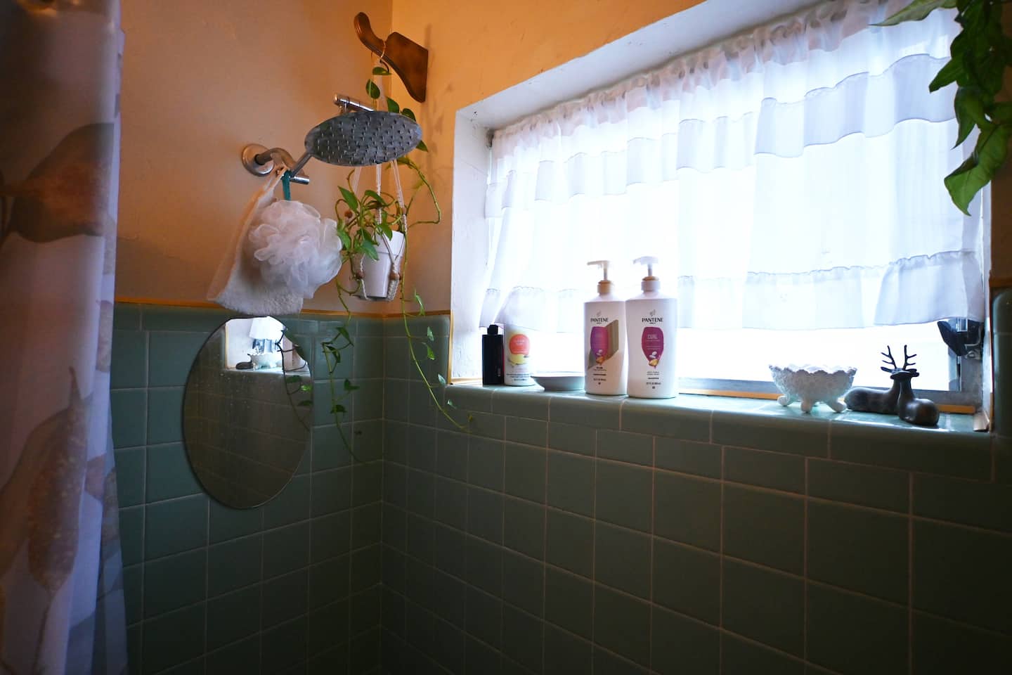 Photo 27