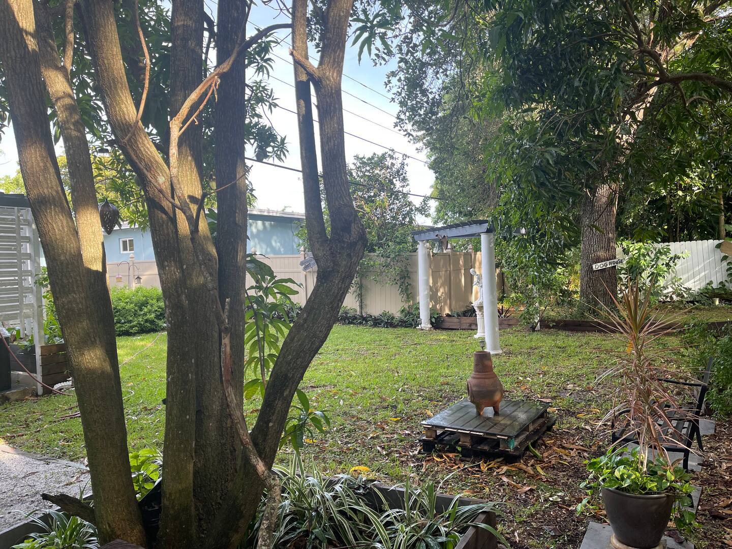 Photo 31