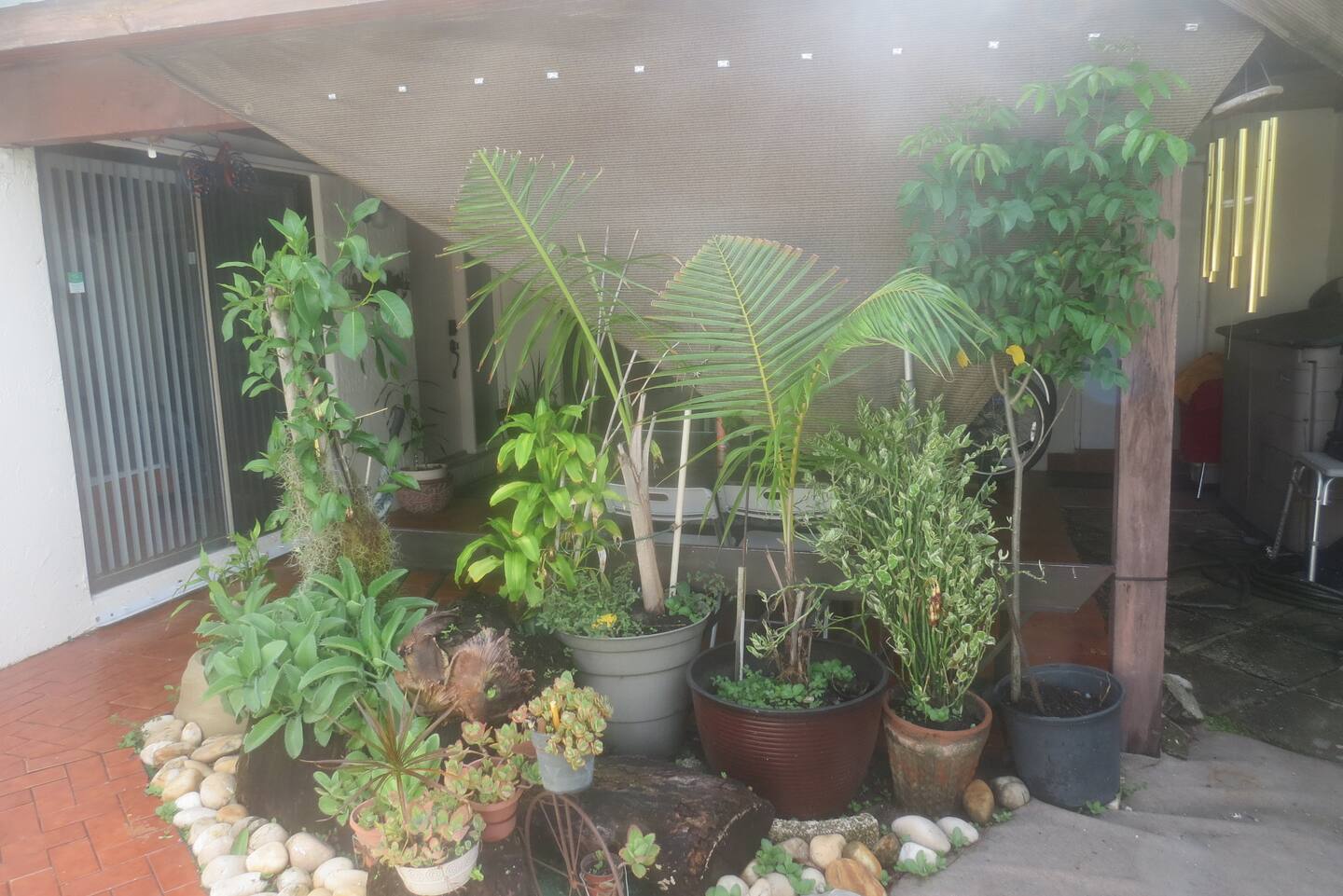 Photo 41