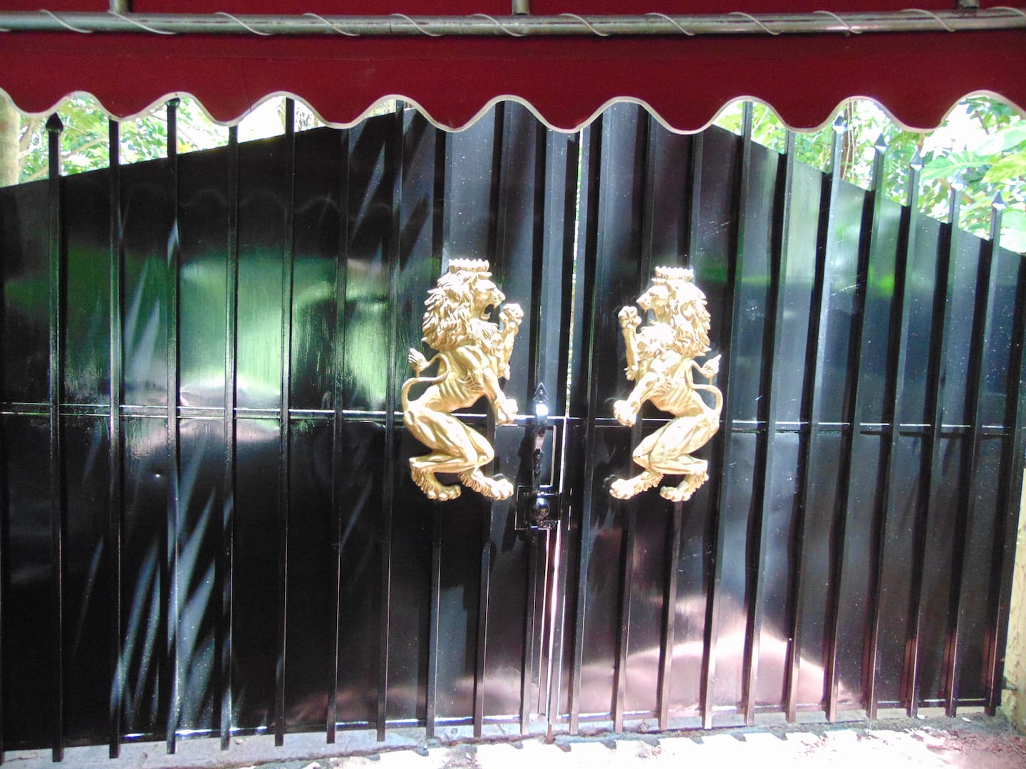 Photo 10
