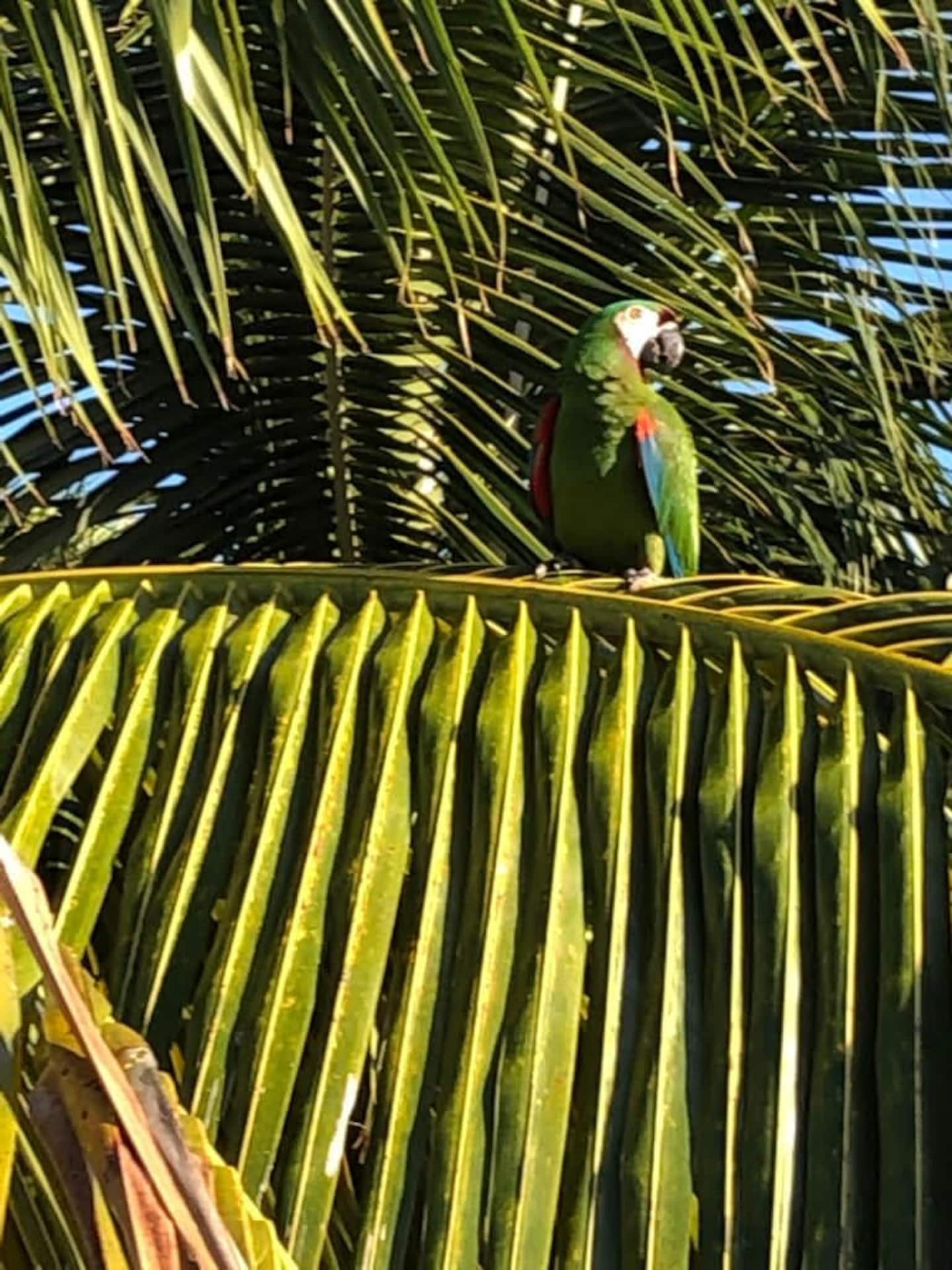 Photo 42