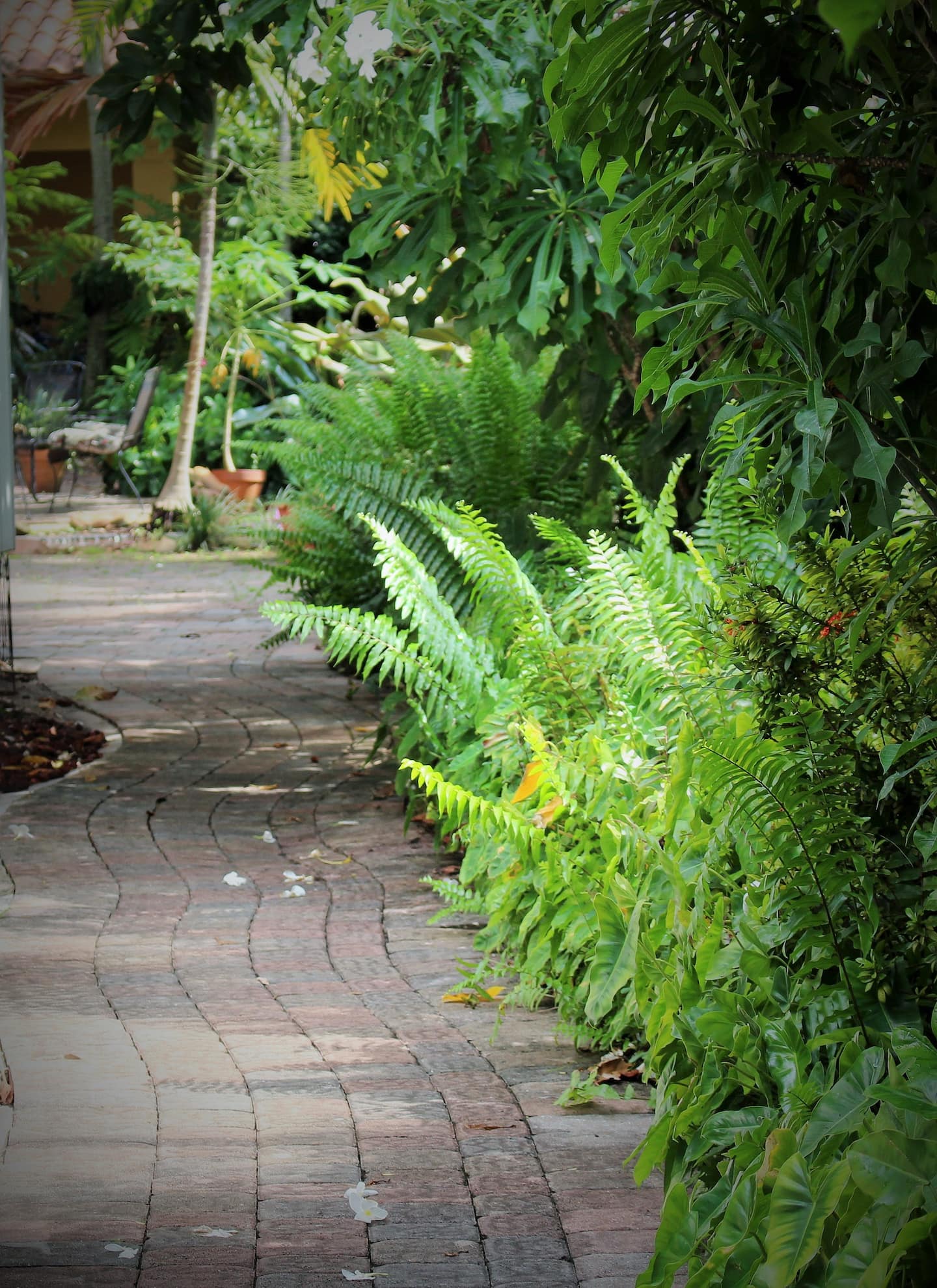 Photo 23