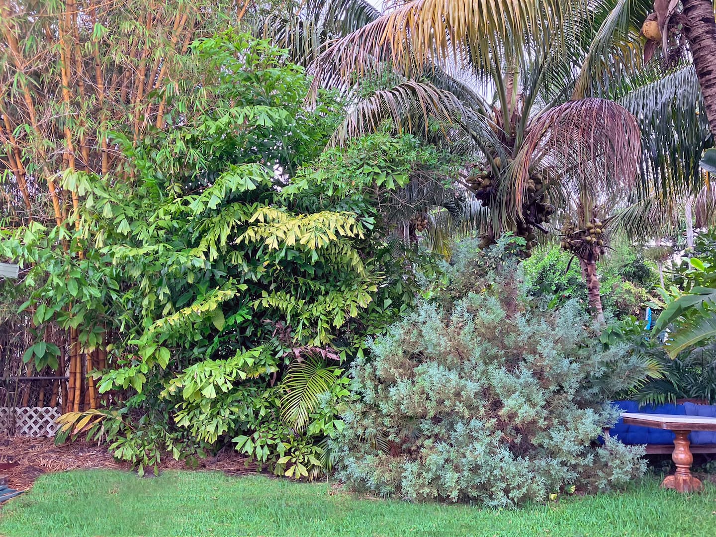 Photo 48
