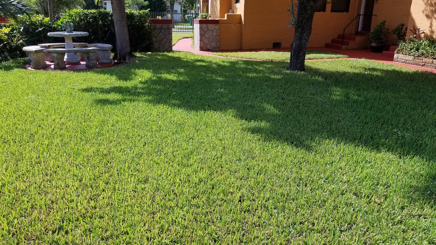 Photo 35