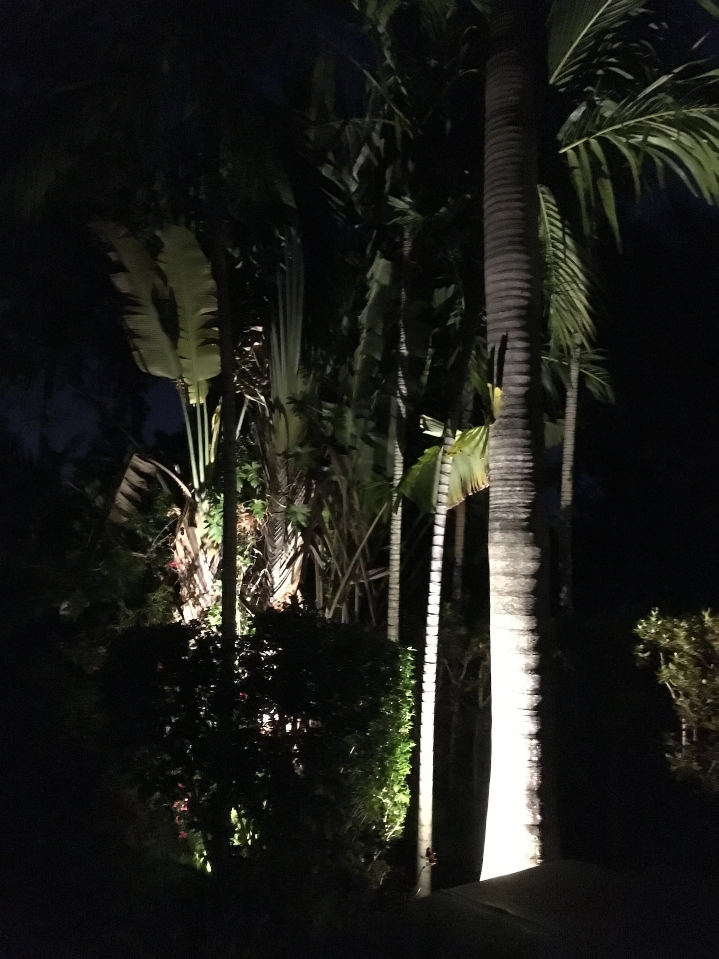 Photo 32