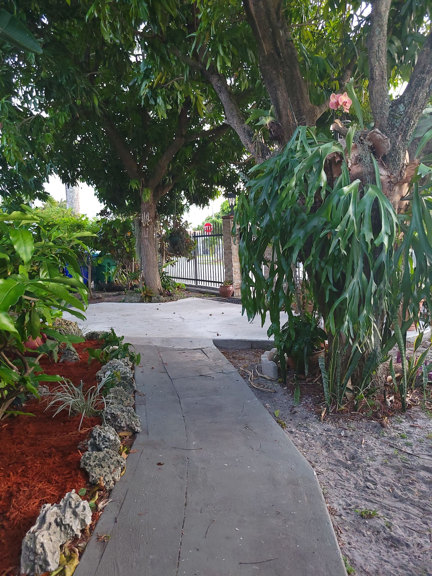 Photo 21