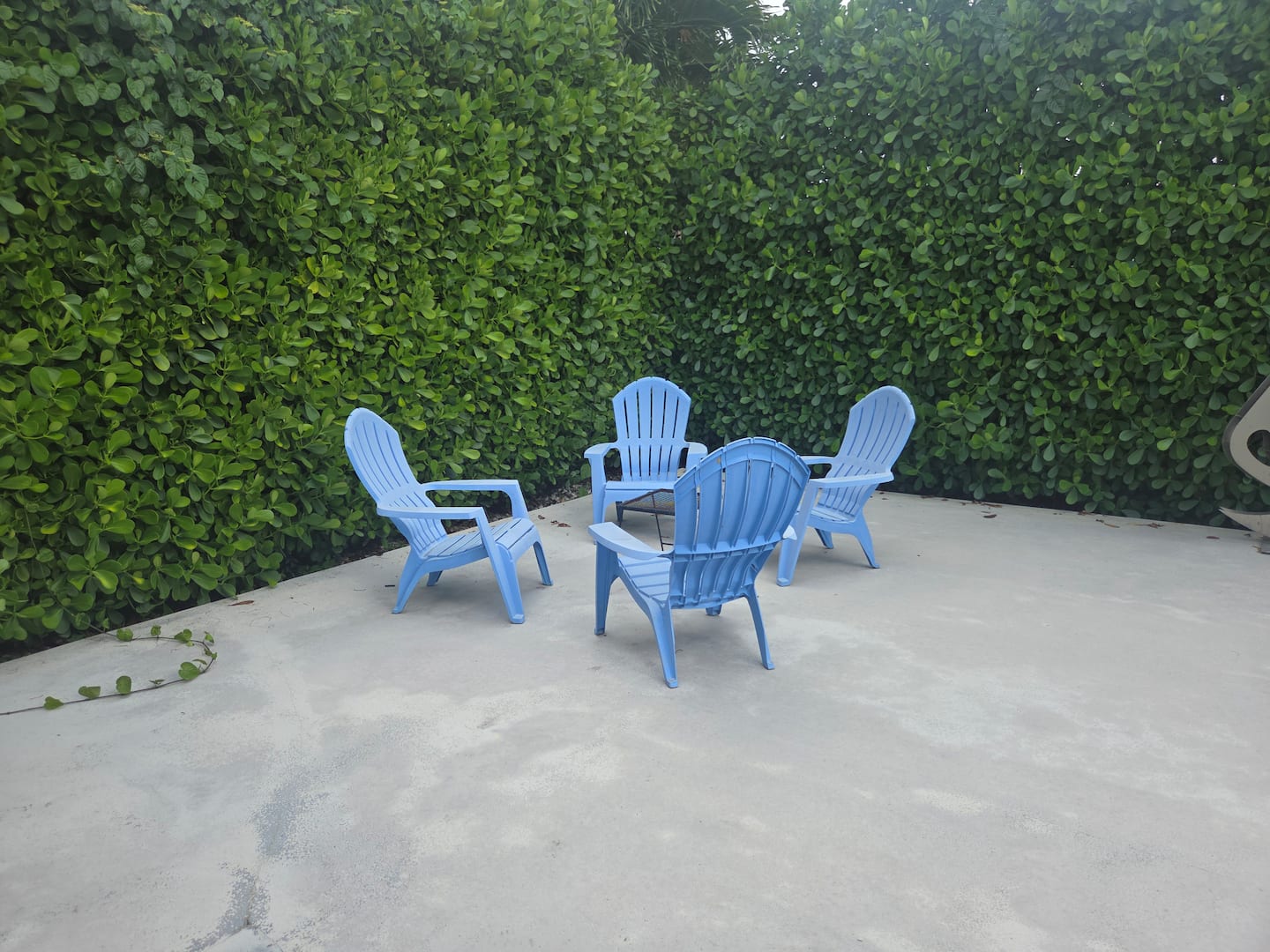 Photo 4