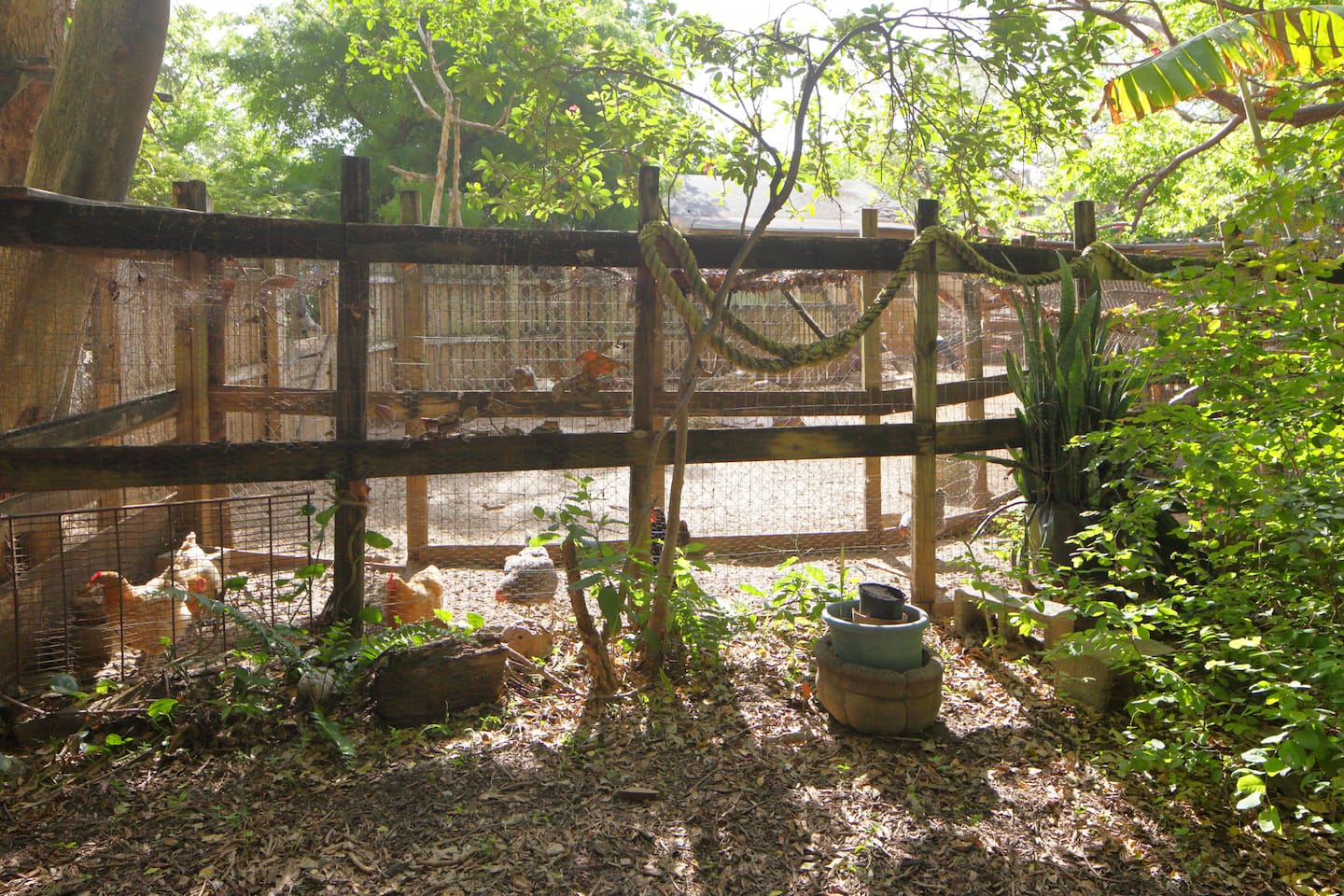 Photo 18