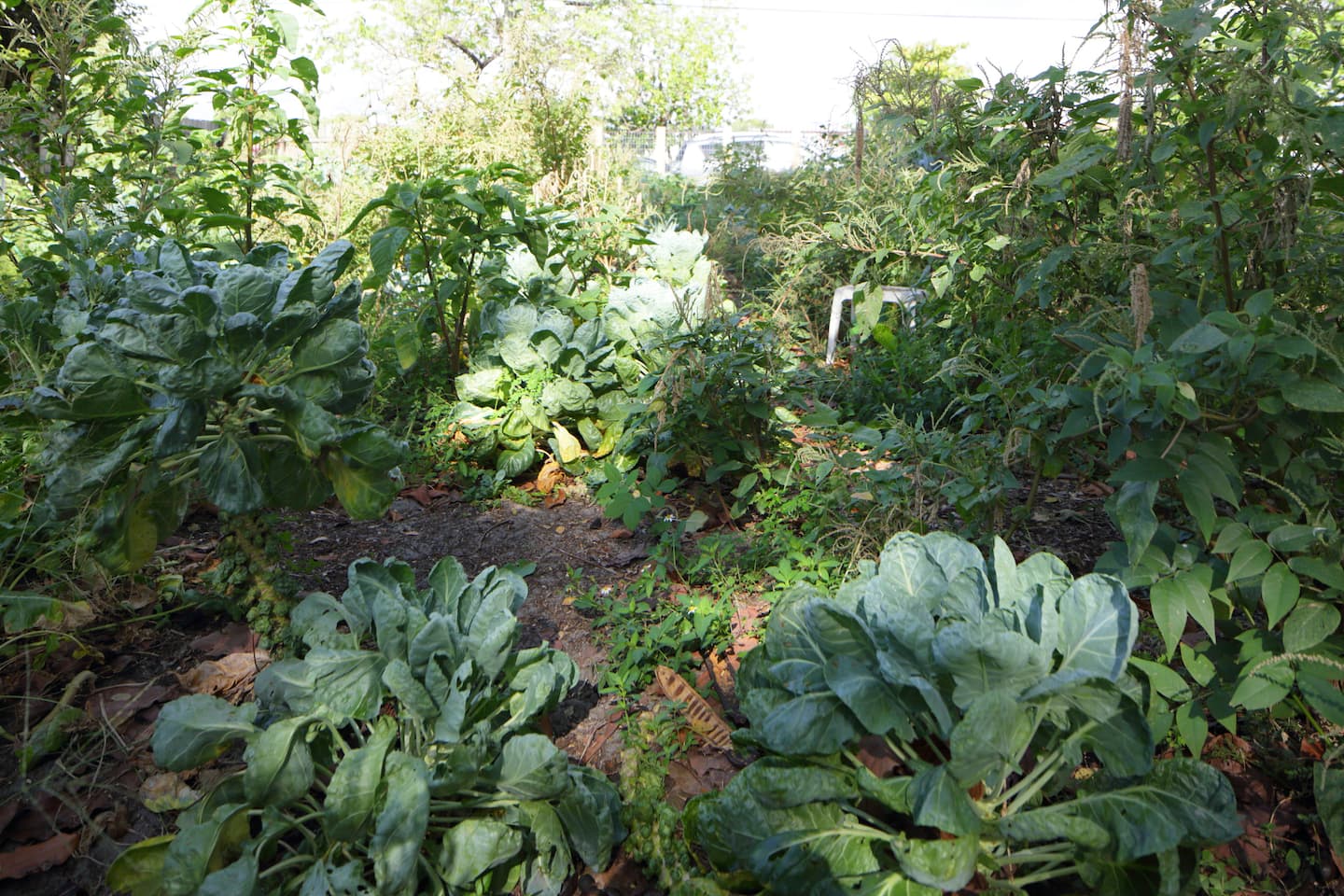 Photo 23