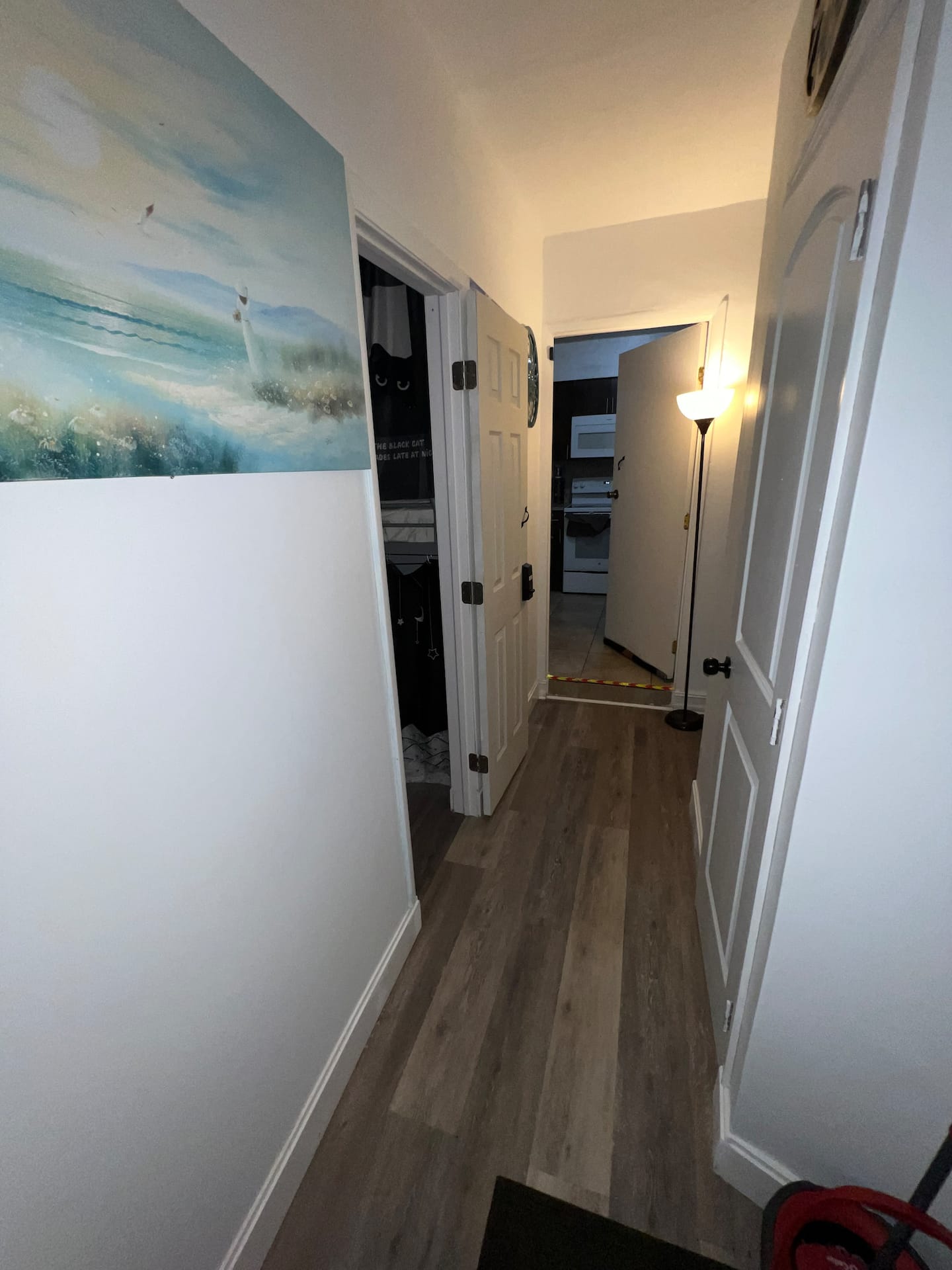 Photo 47